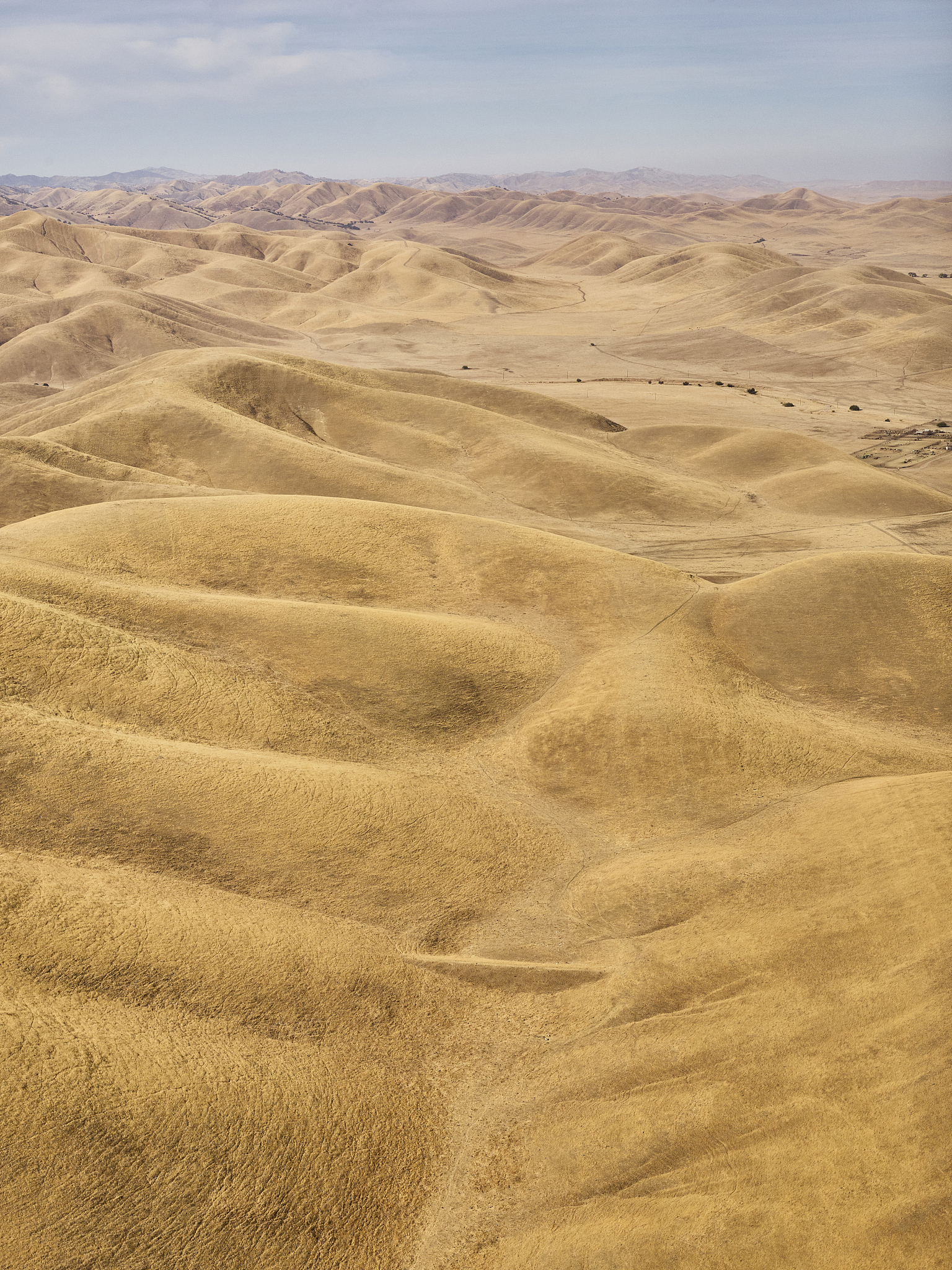 brown hills