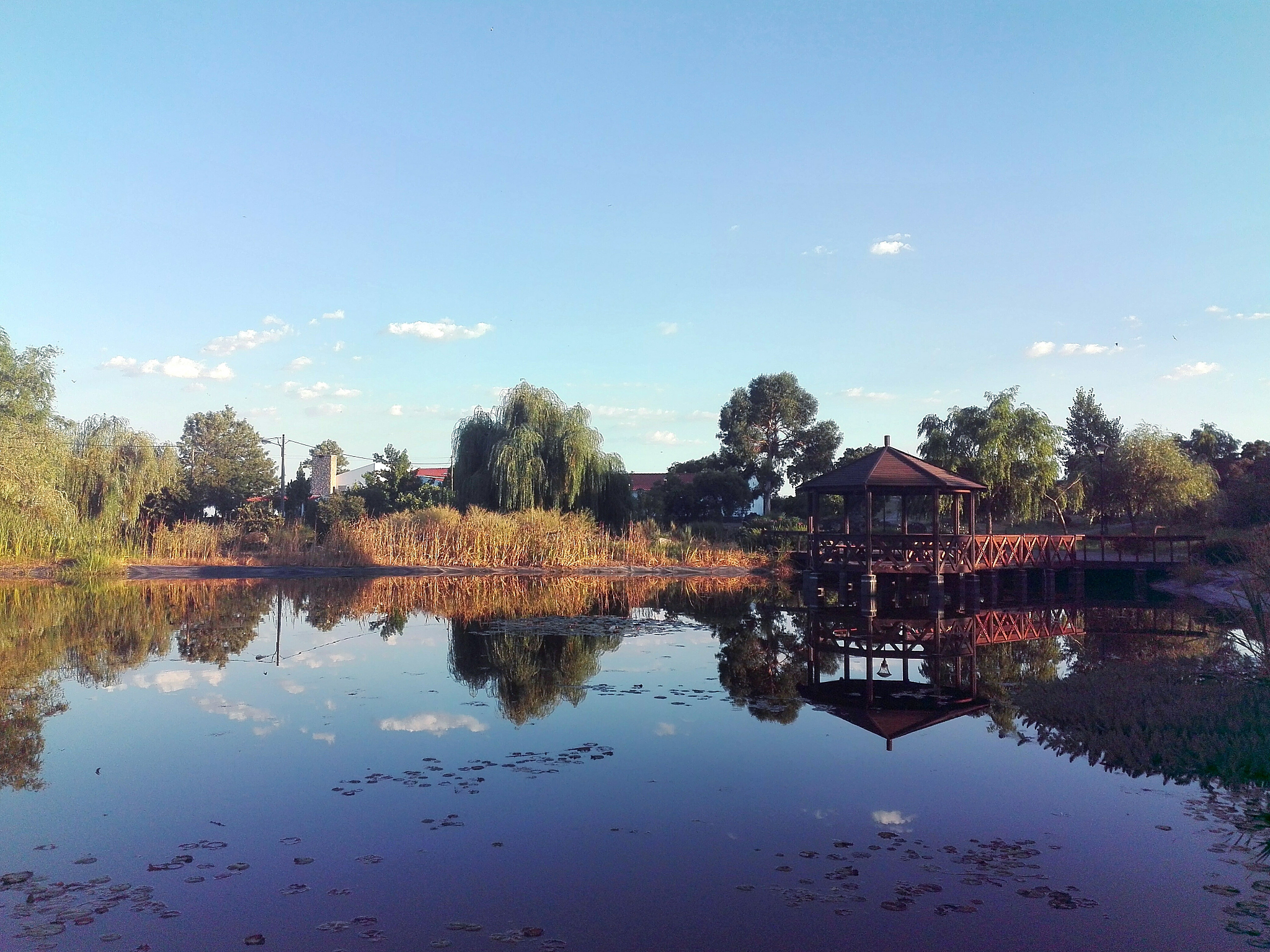 Hardtop Gazebo - Metal Gazebo with Wood Grain Aluminum Frame & Double Roof - Perfect for Outdoor Gatherings!