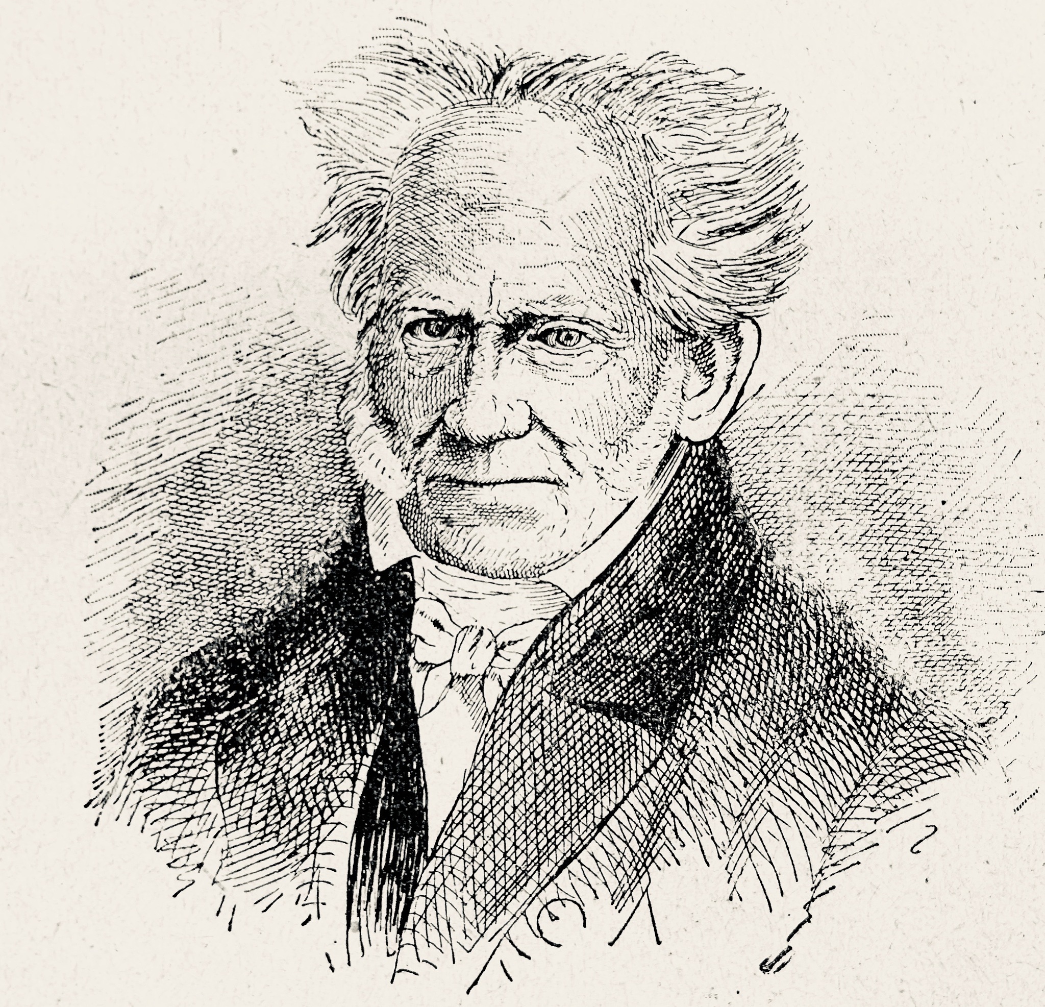 用300字评价托马斯穆勒