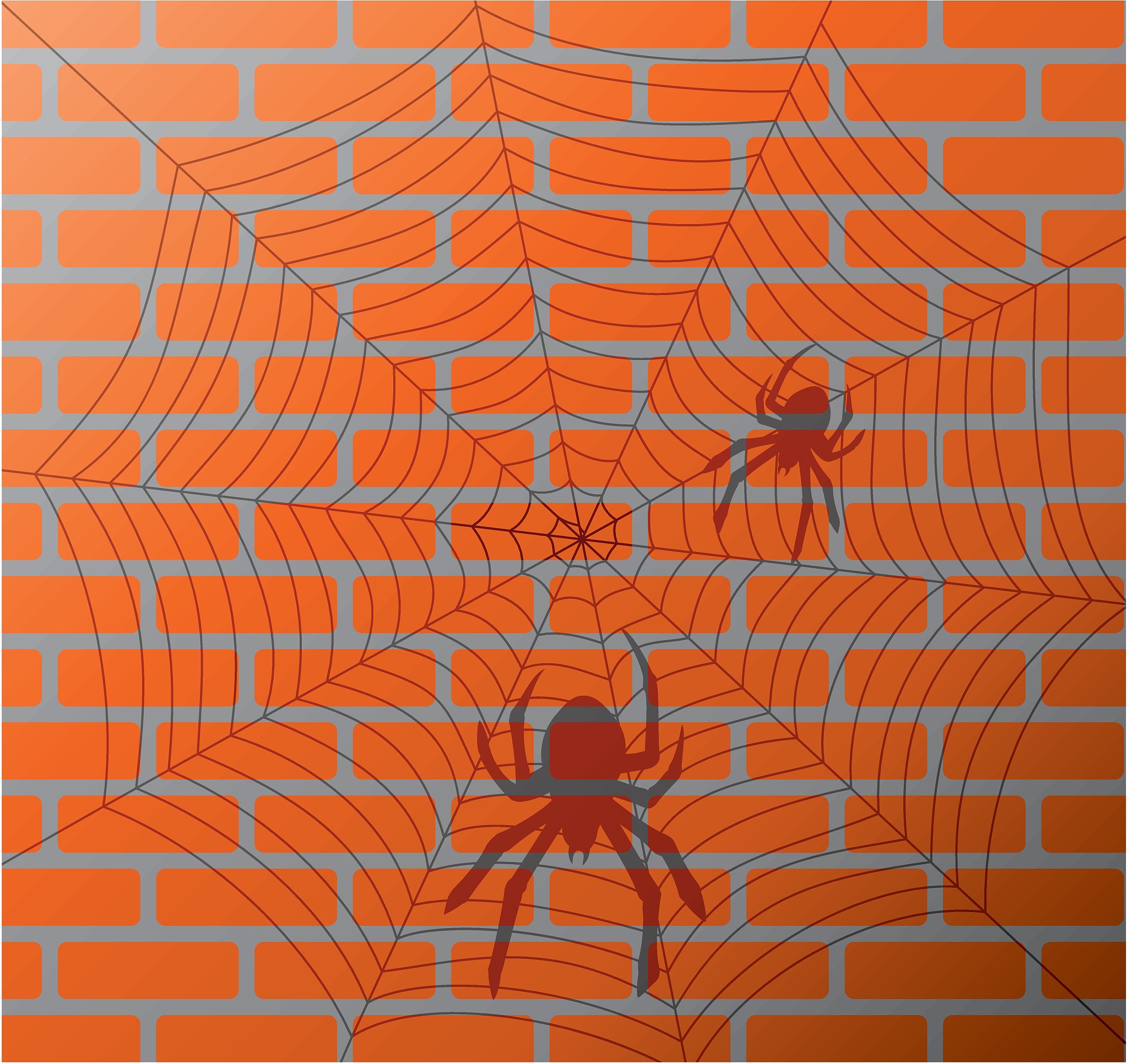 蜘字的音序是什么？ - 详细解析和示例