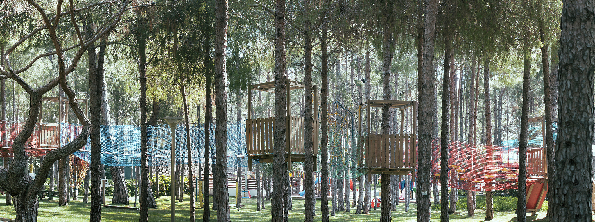 合肥经贸旅游学校2021年多少分能报考