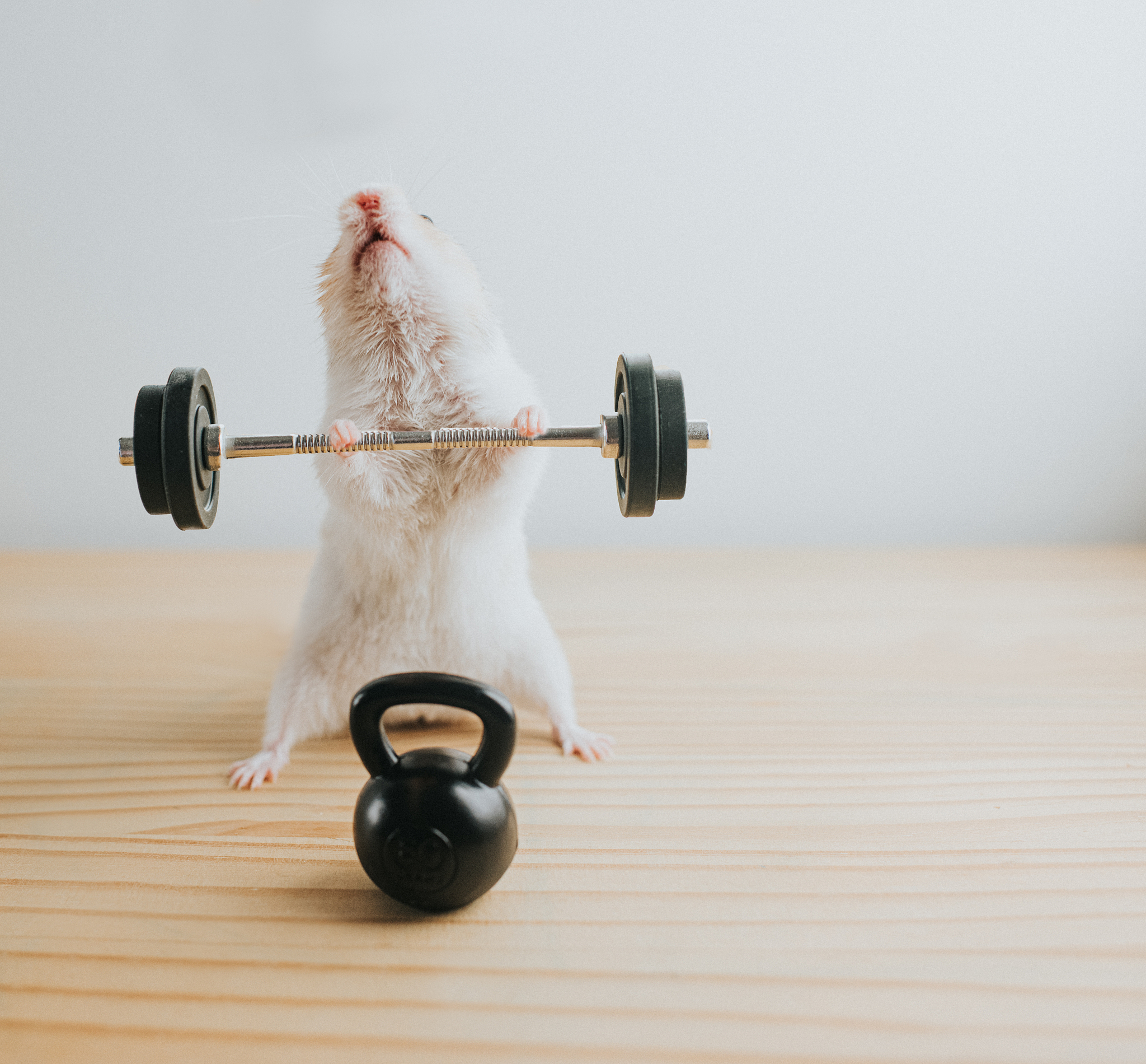 四川省质量技术监督学校质量管理专业：前景广阔，值得报考