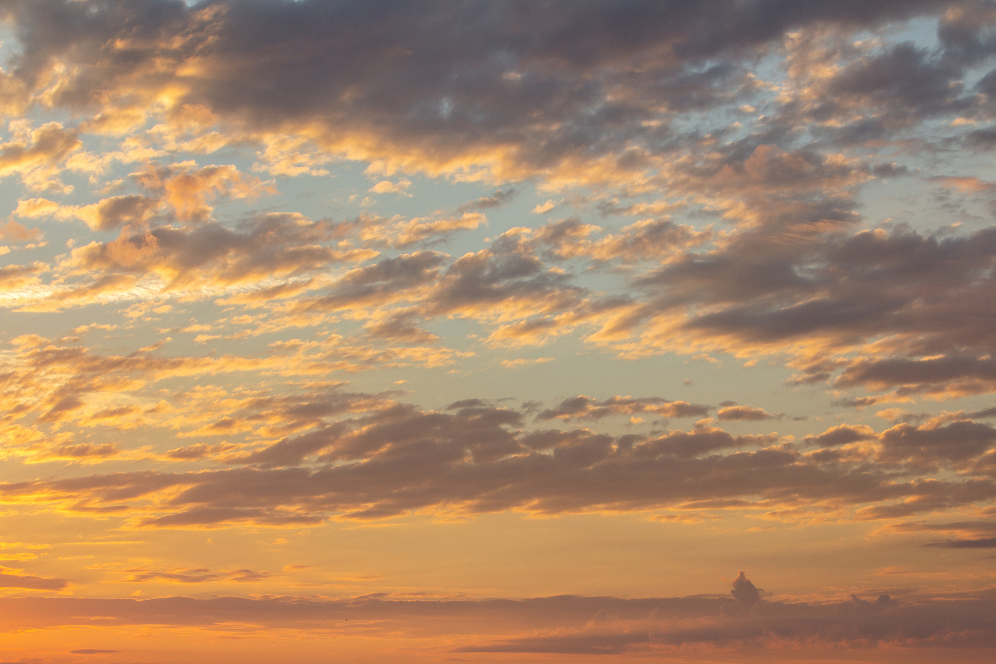 你是一名环境工程专业的大学生请用自己的理解总结自己学习《环境质量评价》这一门专业课程的学习收获写成一段话格式不少于1000字。