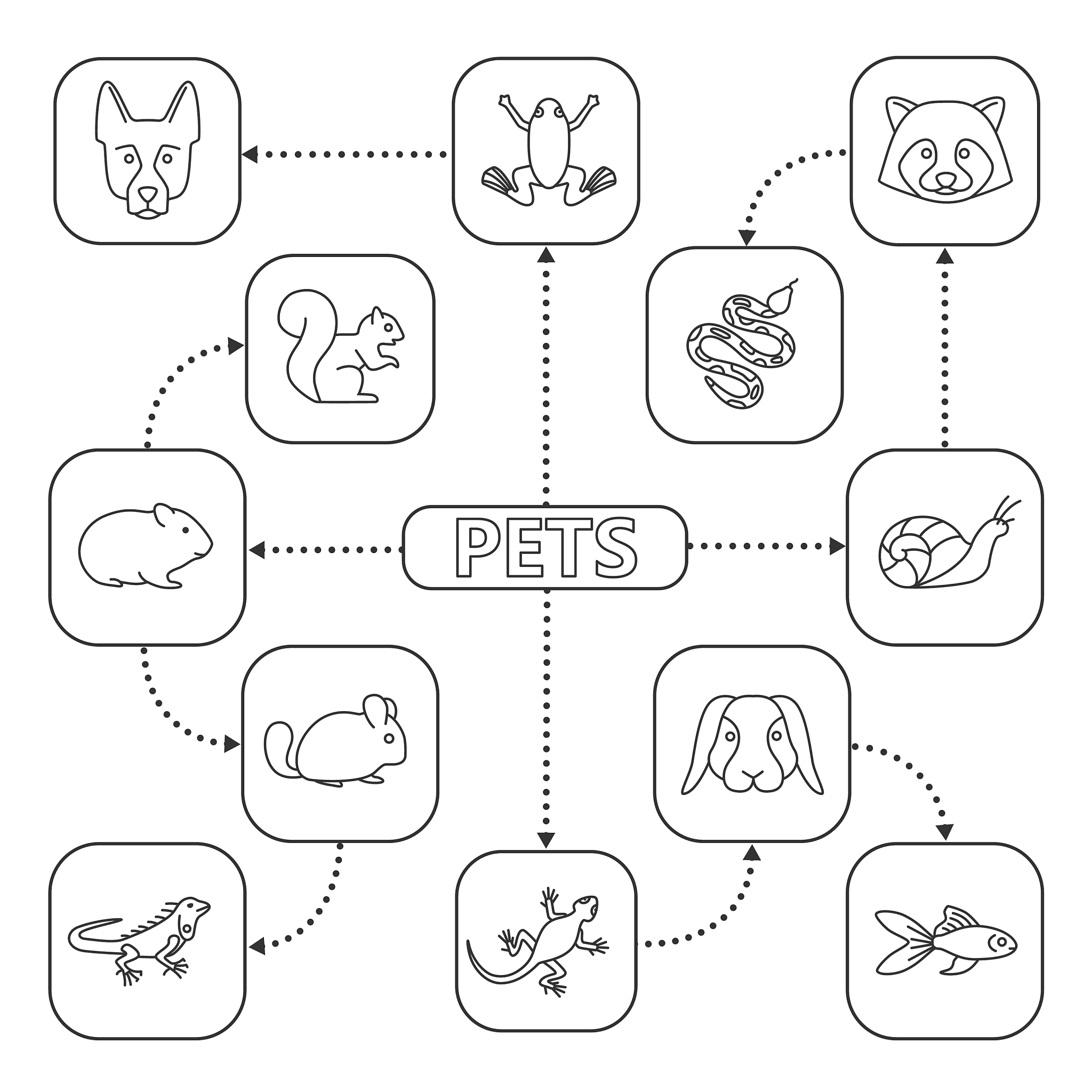 结构方程模型 (SEM) - 了解因果关系和理论模型的强大工具