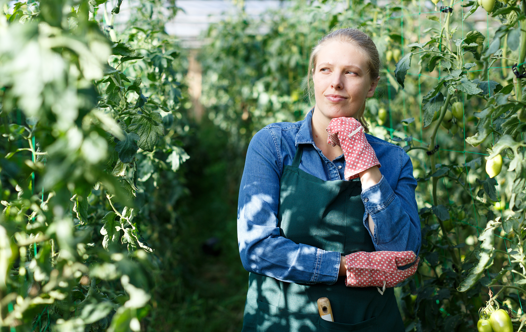 福建农业职业技术学院审计专业就业方向及前景