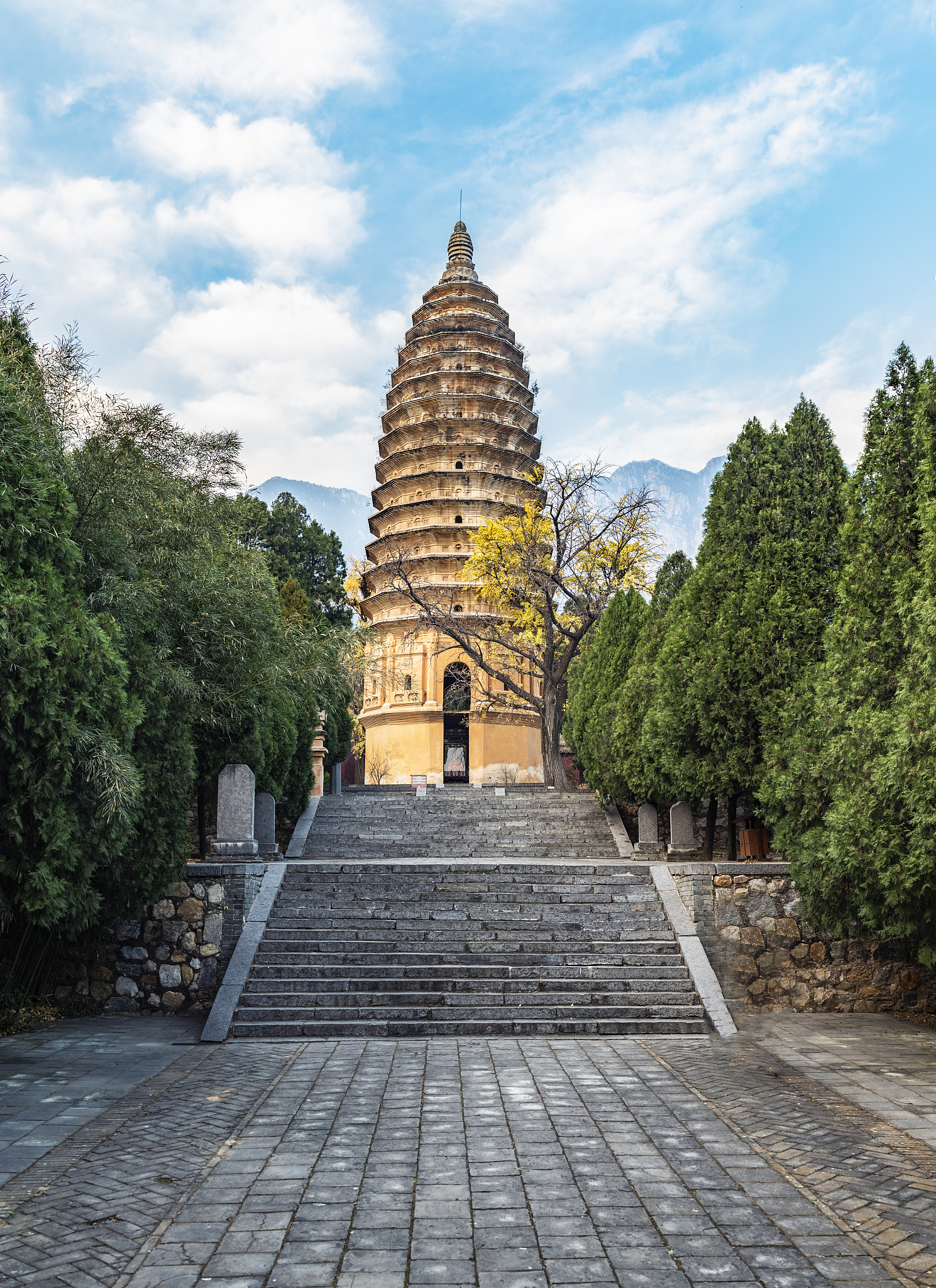 河南失业金领取流程：步骤、标准、注意事项