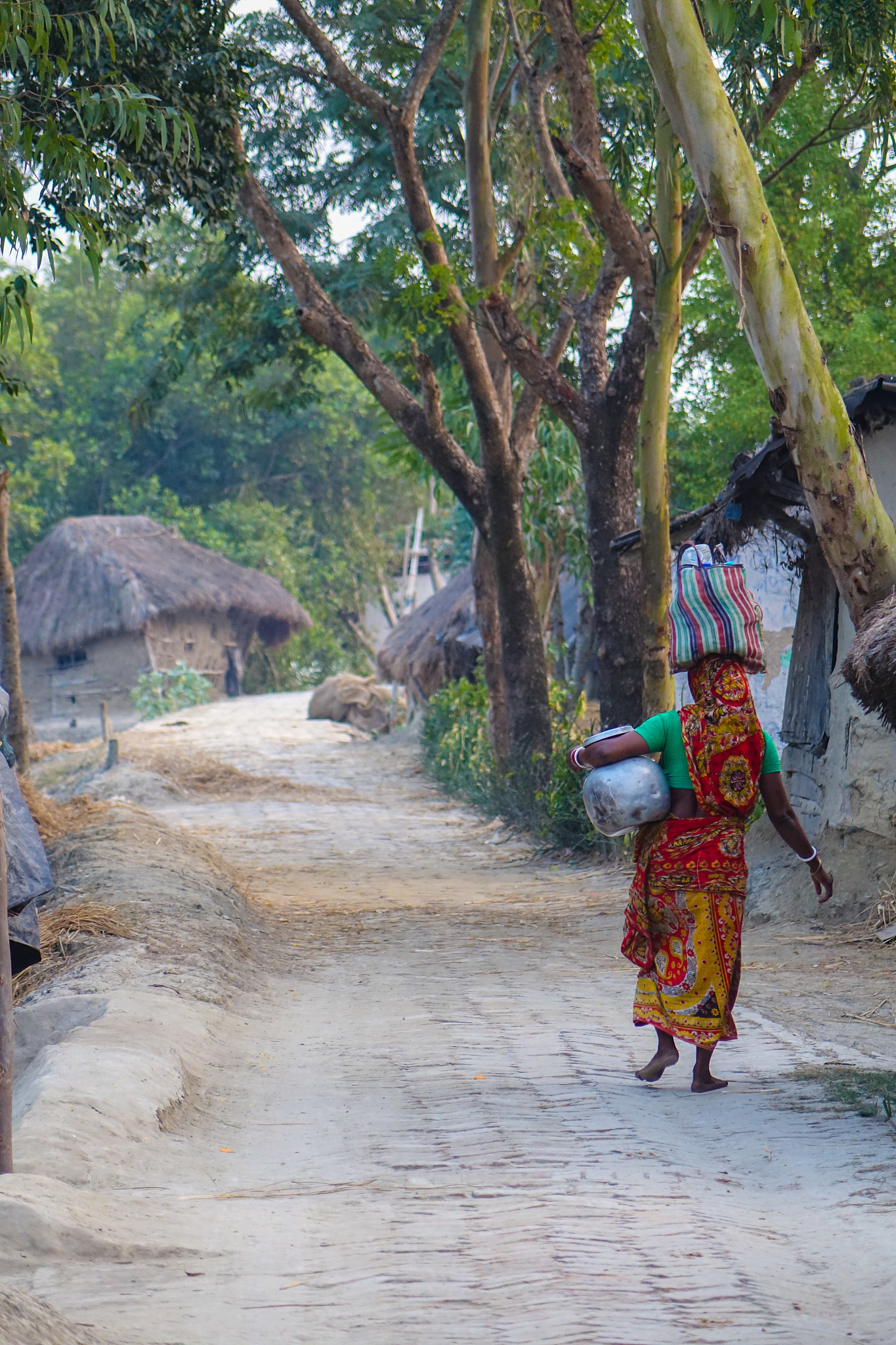 village life at sundarbans