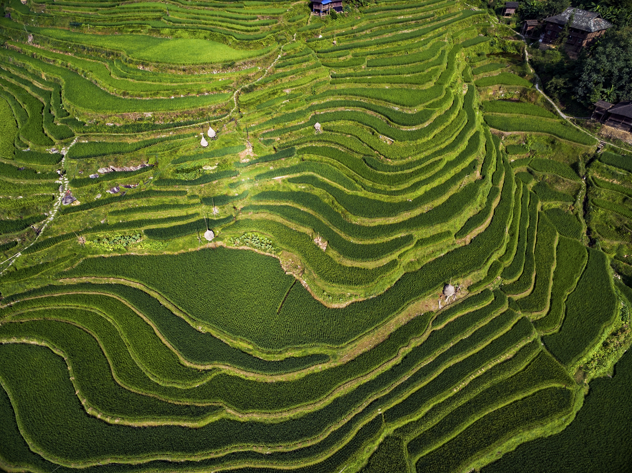 贵州农业机电学校农业机械化专业好不好