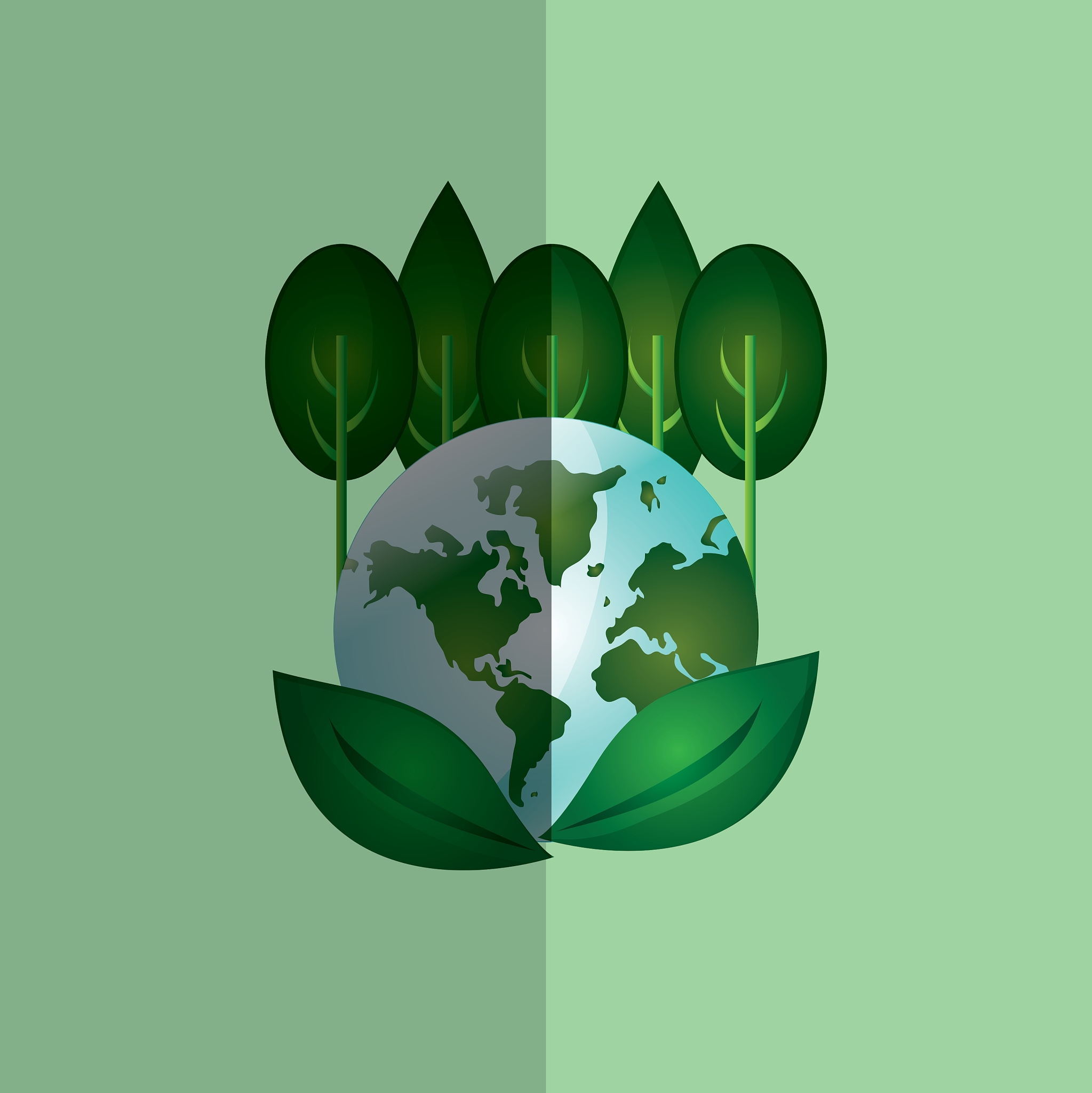 natural and eco design