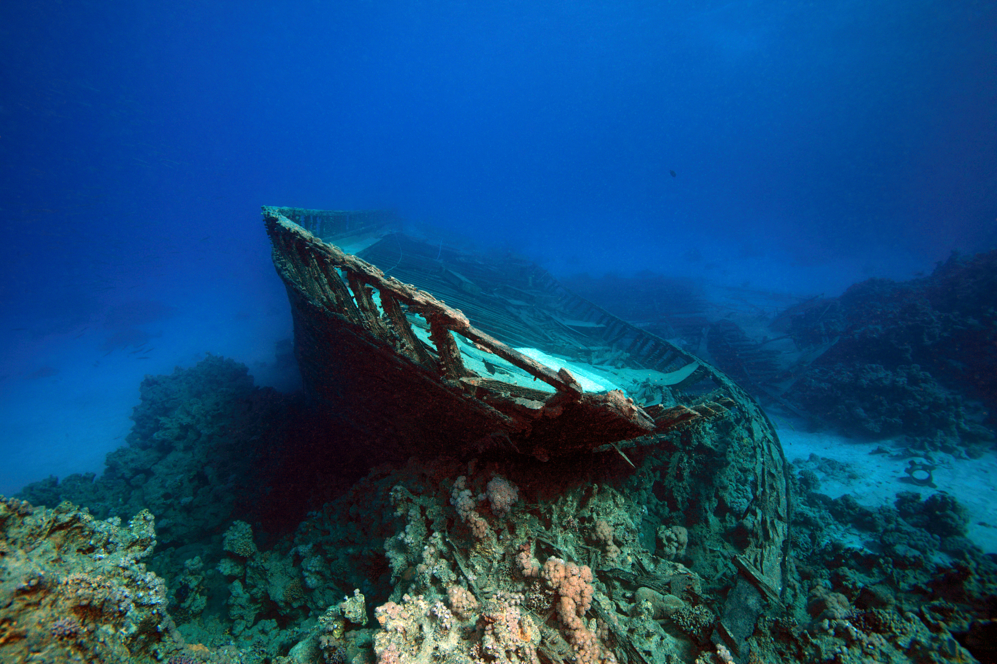 red sea