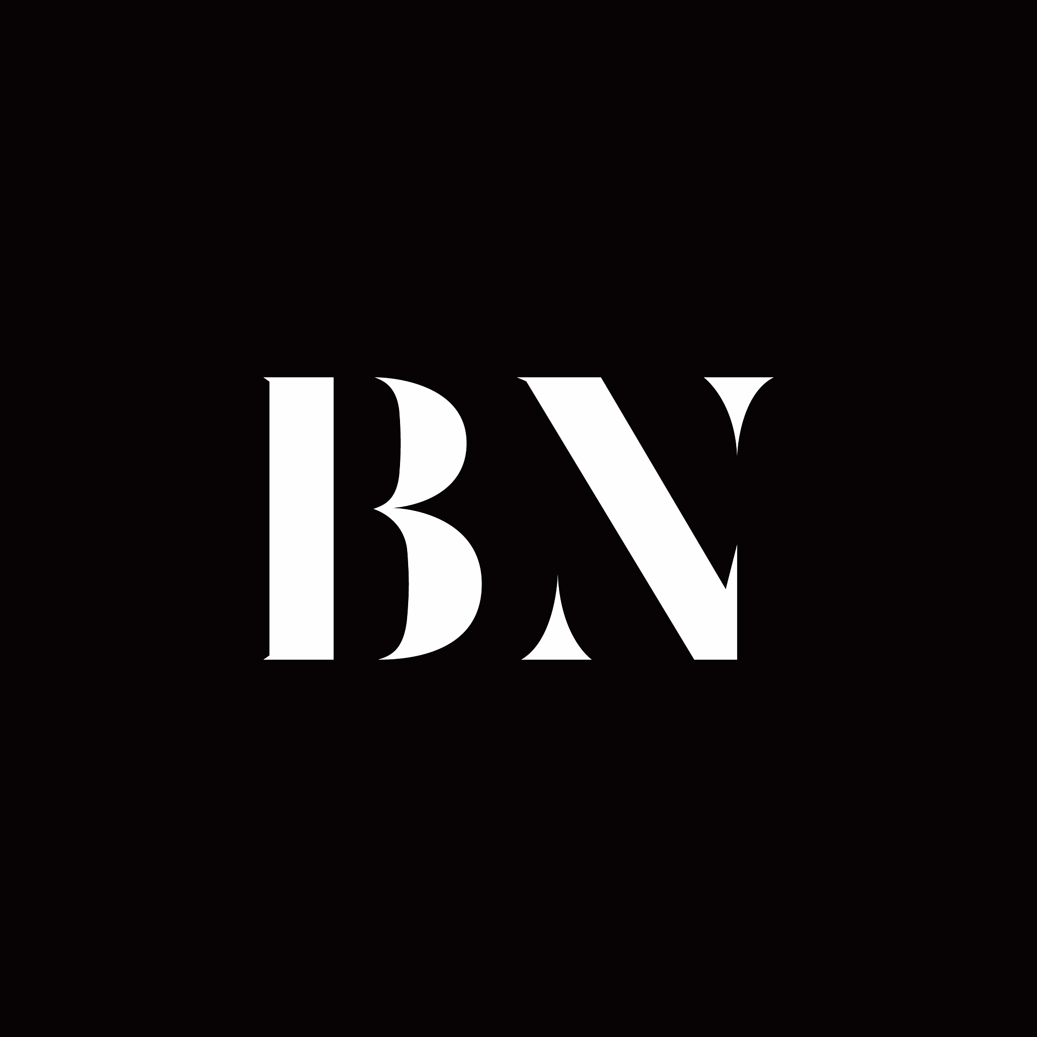 bn logo letter initial logo designs template