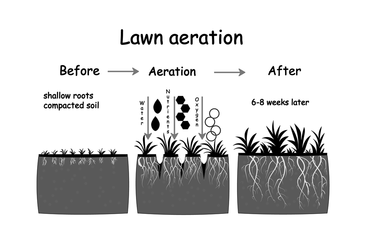 Yan et al 2016 proposed that OPDs exhibited variations according to N management strategies Specifically for a 70 of optimal N rate treatment the OPD was 60 × 104 plants ha-1 with maize grain yield of