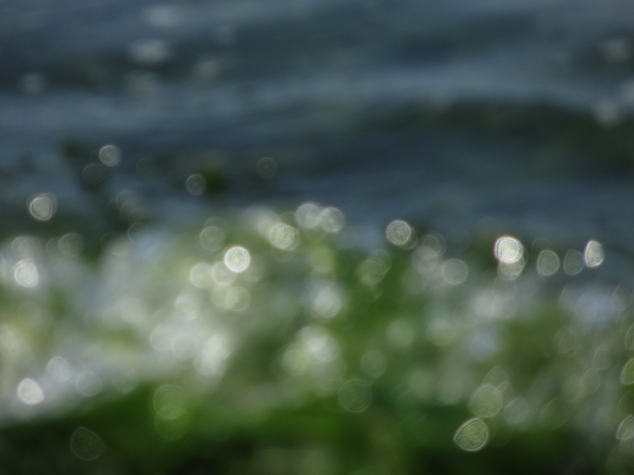 abstract surf
