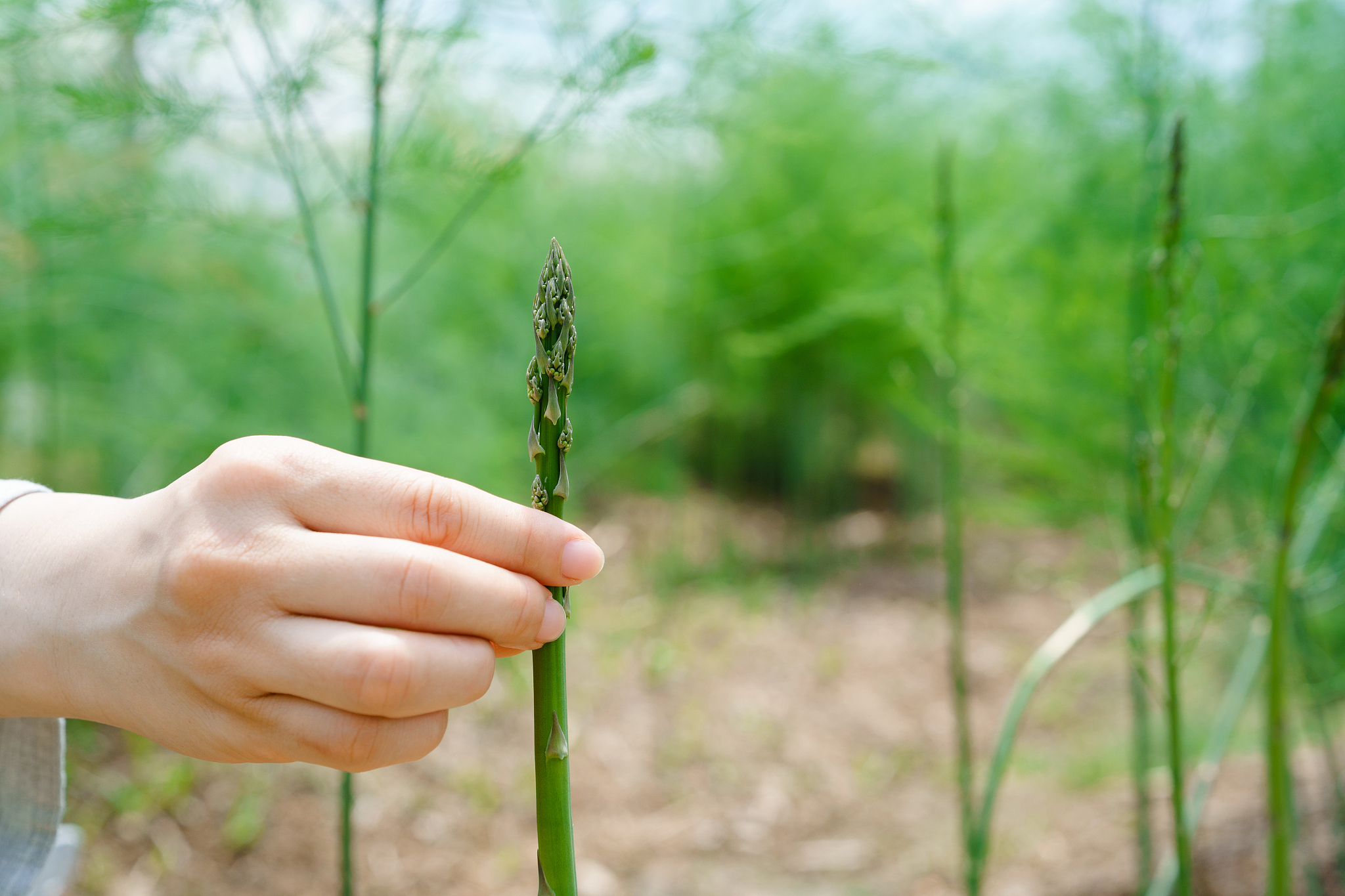运城农业机电工程学校2023年招生：联系方式、专业及办学特色