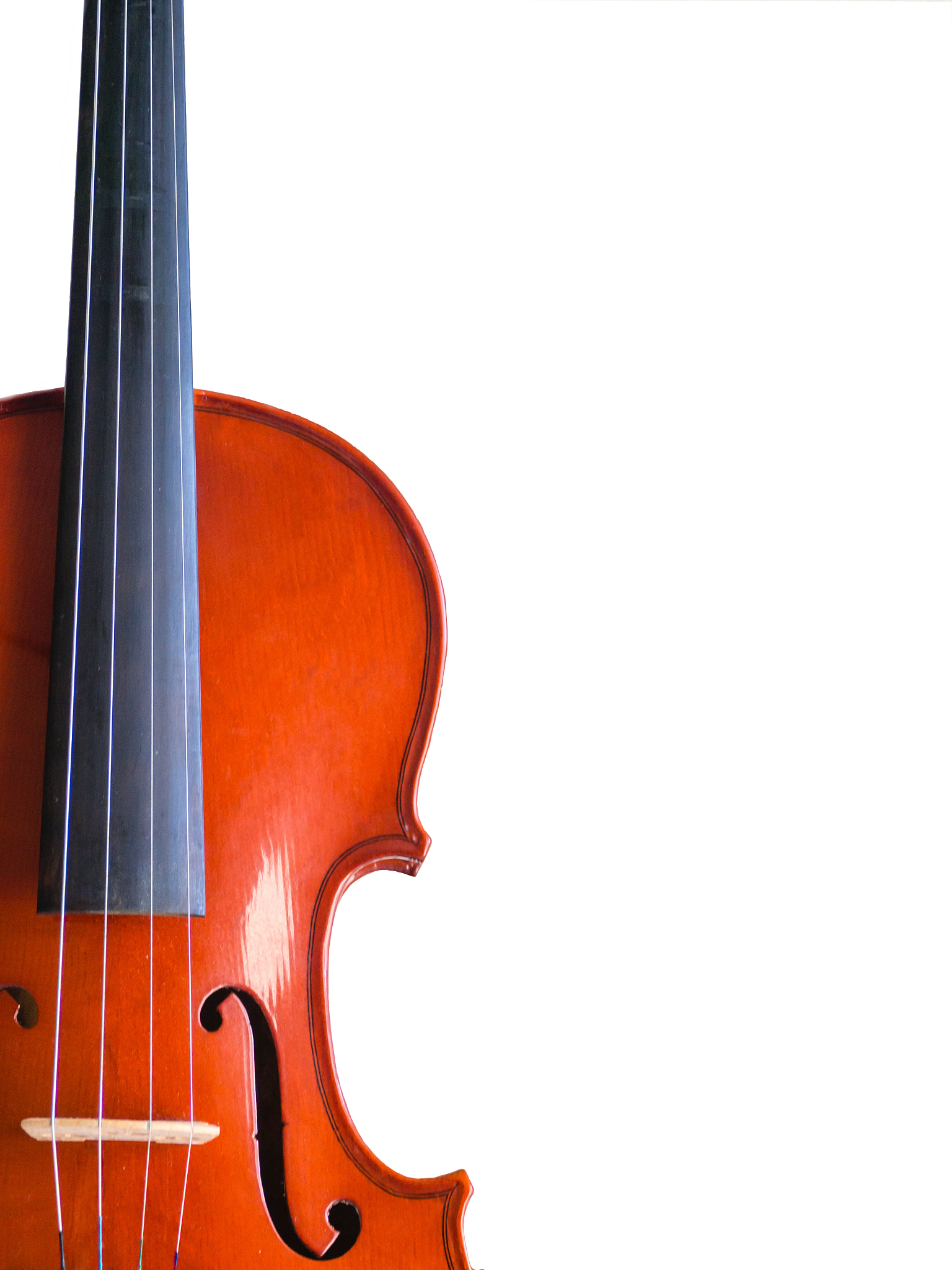 沅陵县中等音乐专业学校：最受欢迎的专业有哪些？