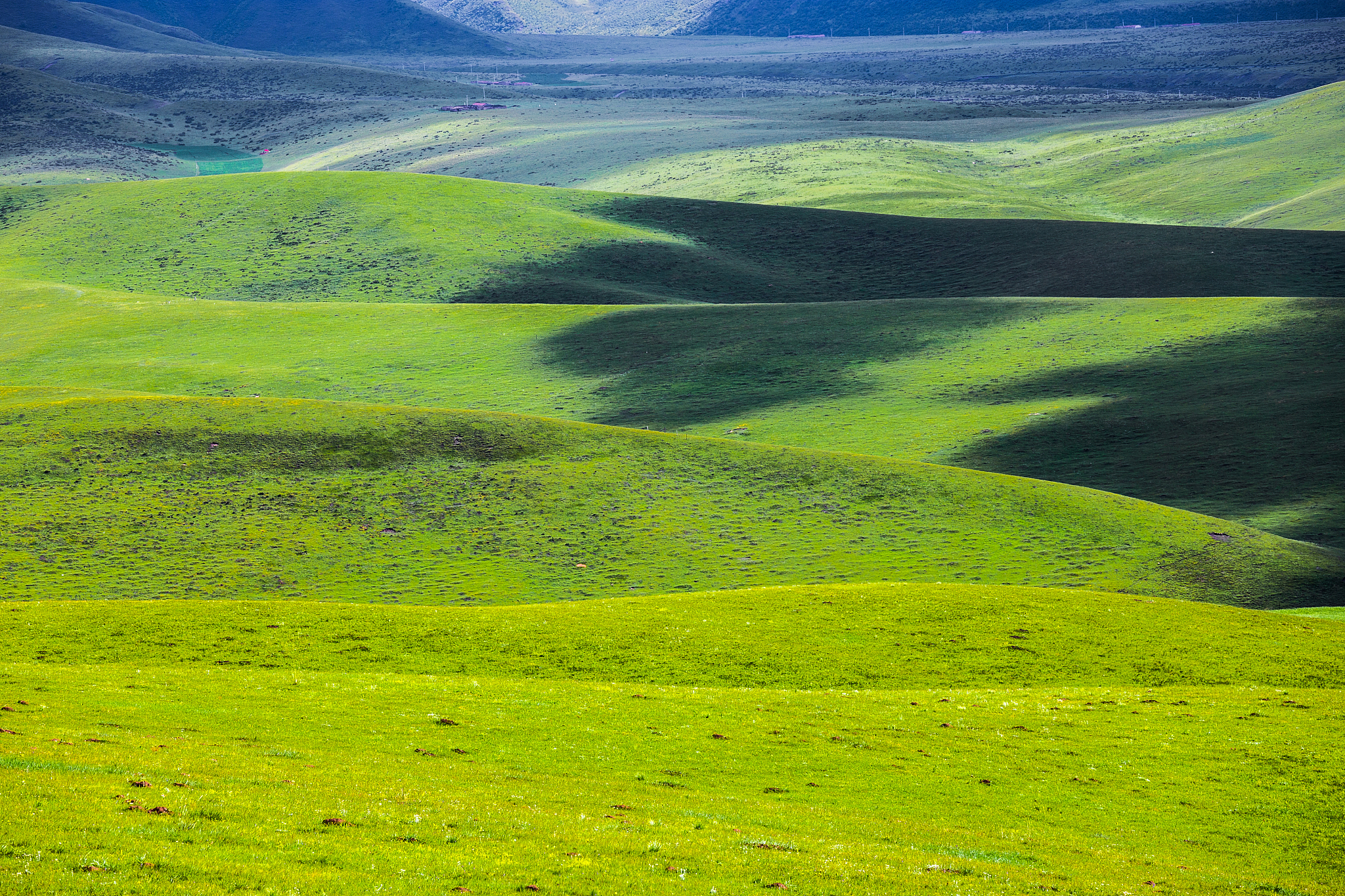 草原在垂直地带分异中一般在哪个位置