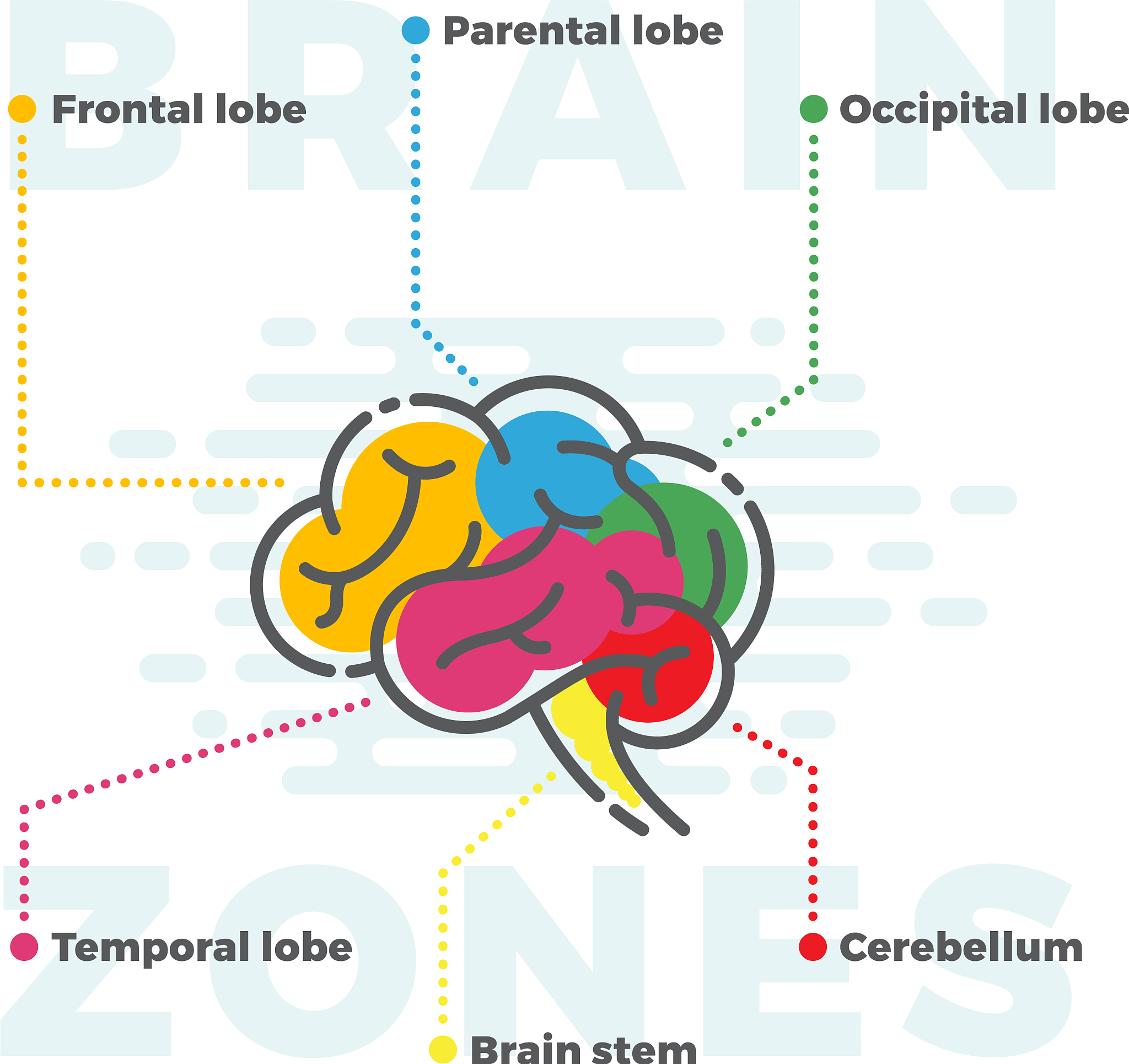 请写出小学语文寒假作业设计的改进