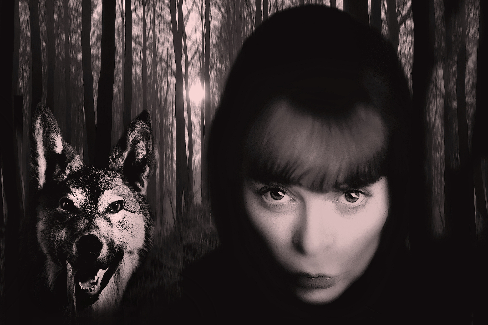 能不能讲一个童话故事