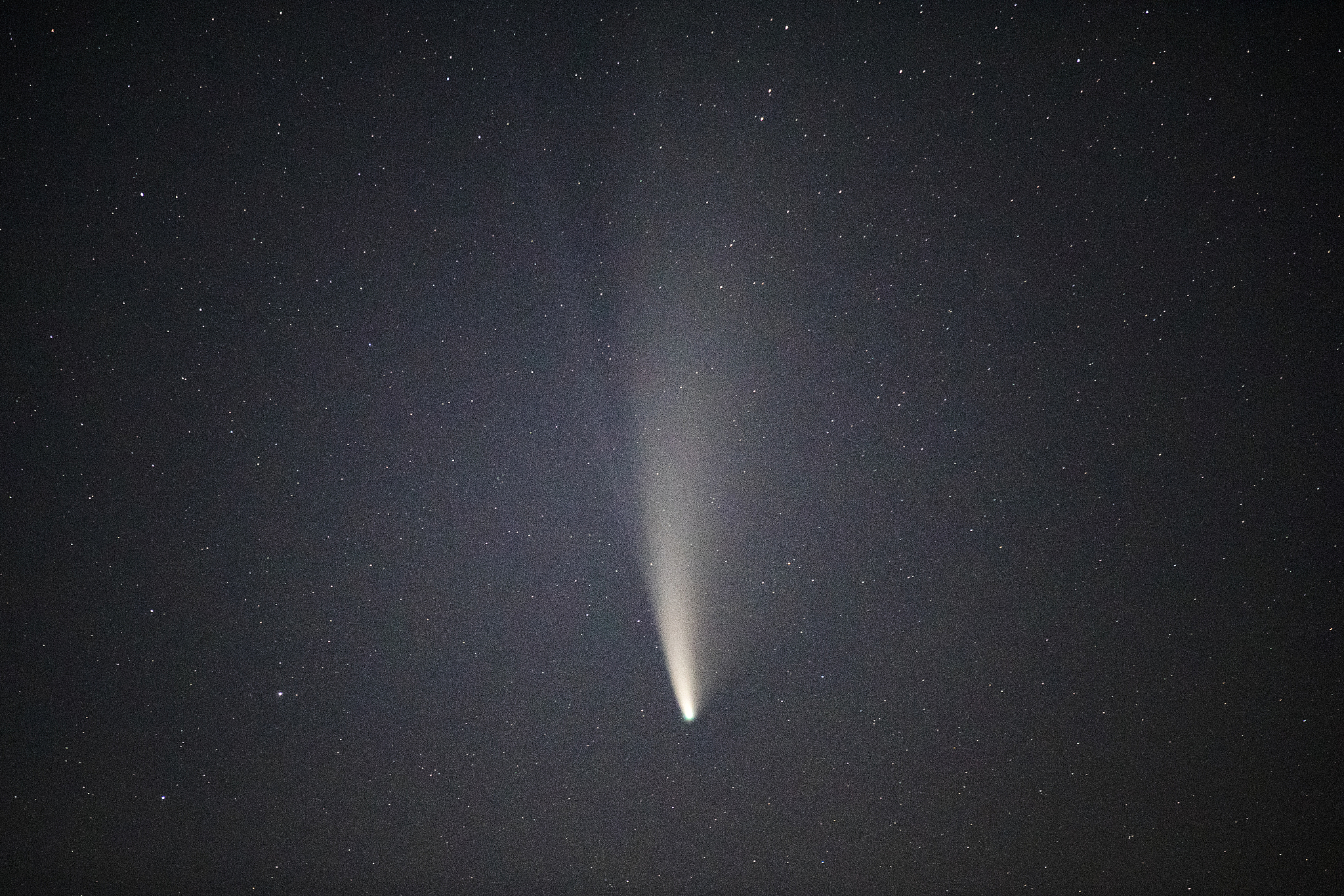 comet neowise trail stars night sky