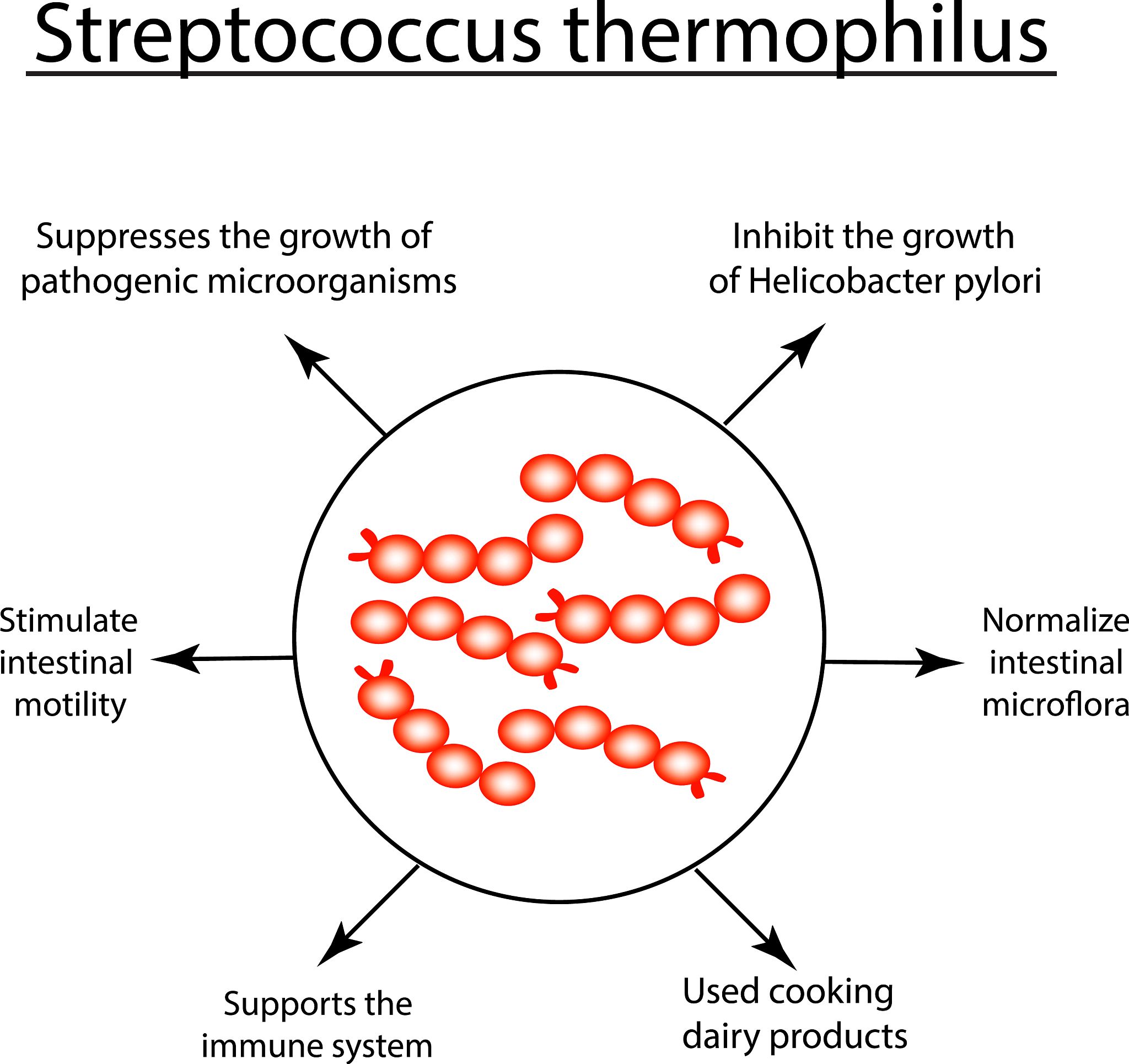 Radioactive Heating in Rocky Bodies: Key Element