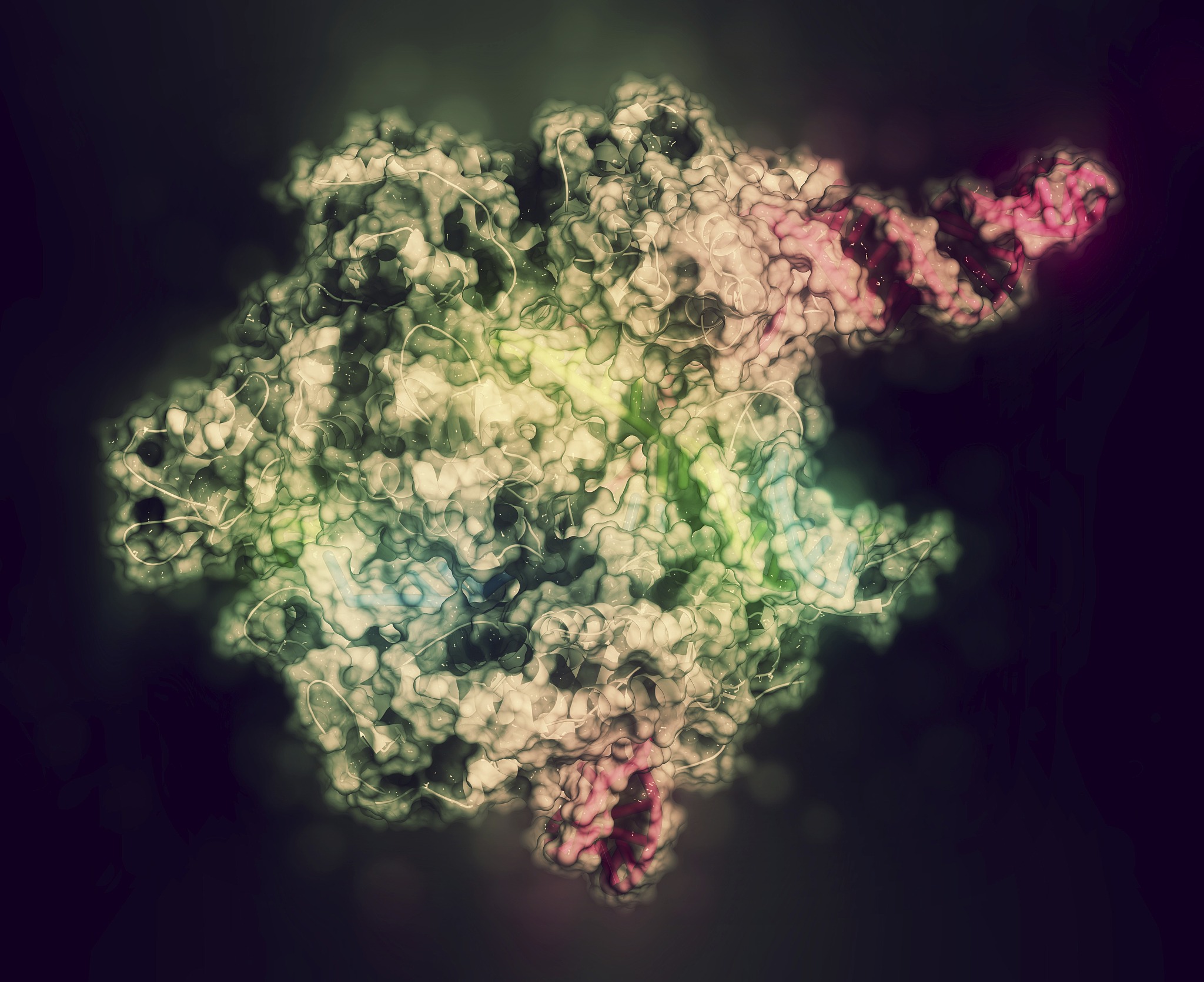 自考分子生物学真题解析：从DNA复制到CRISPR-Cas9