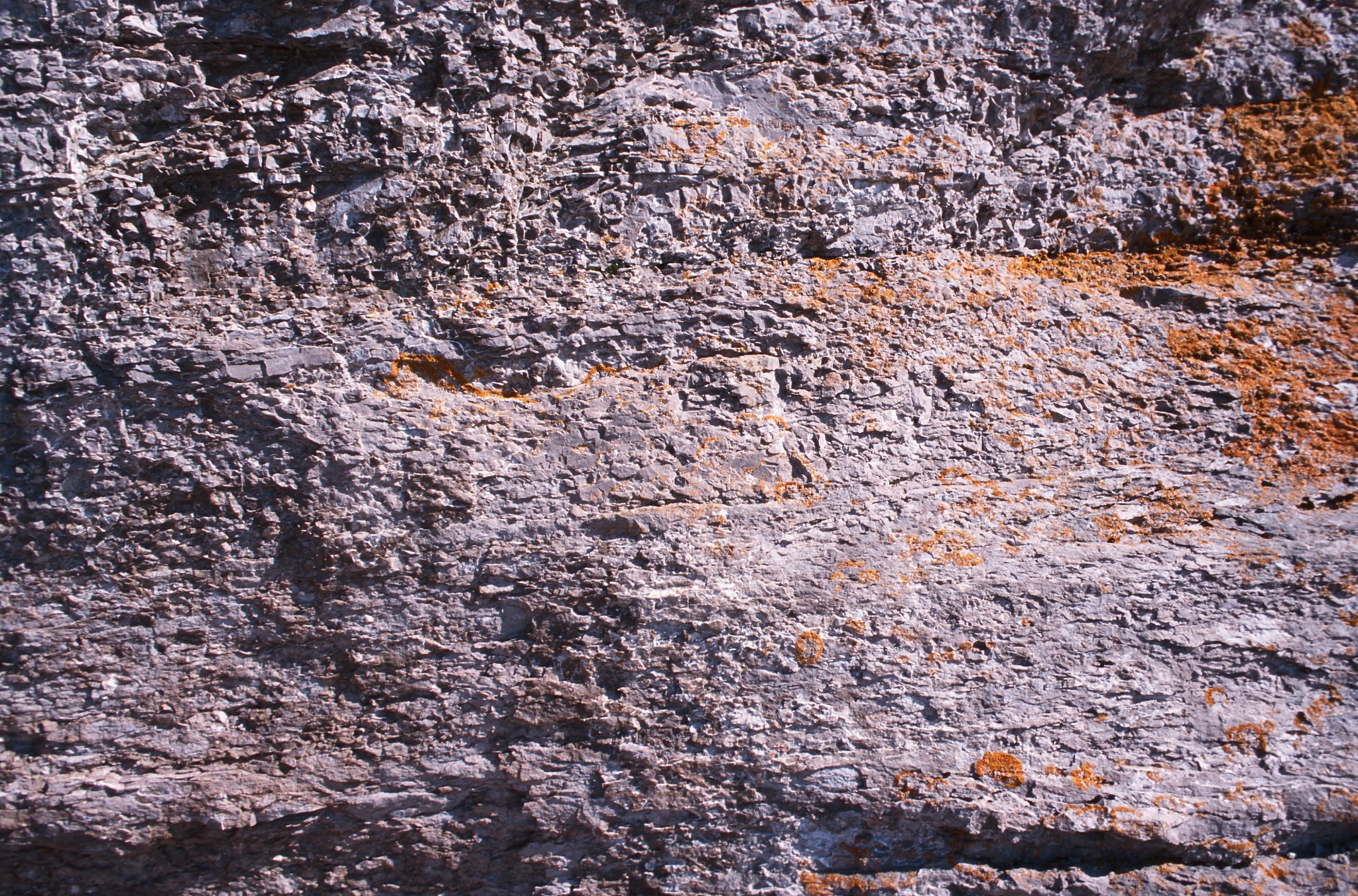 碳酸盐岩与蒸发岩研究指南：深入理解地球宝藏