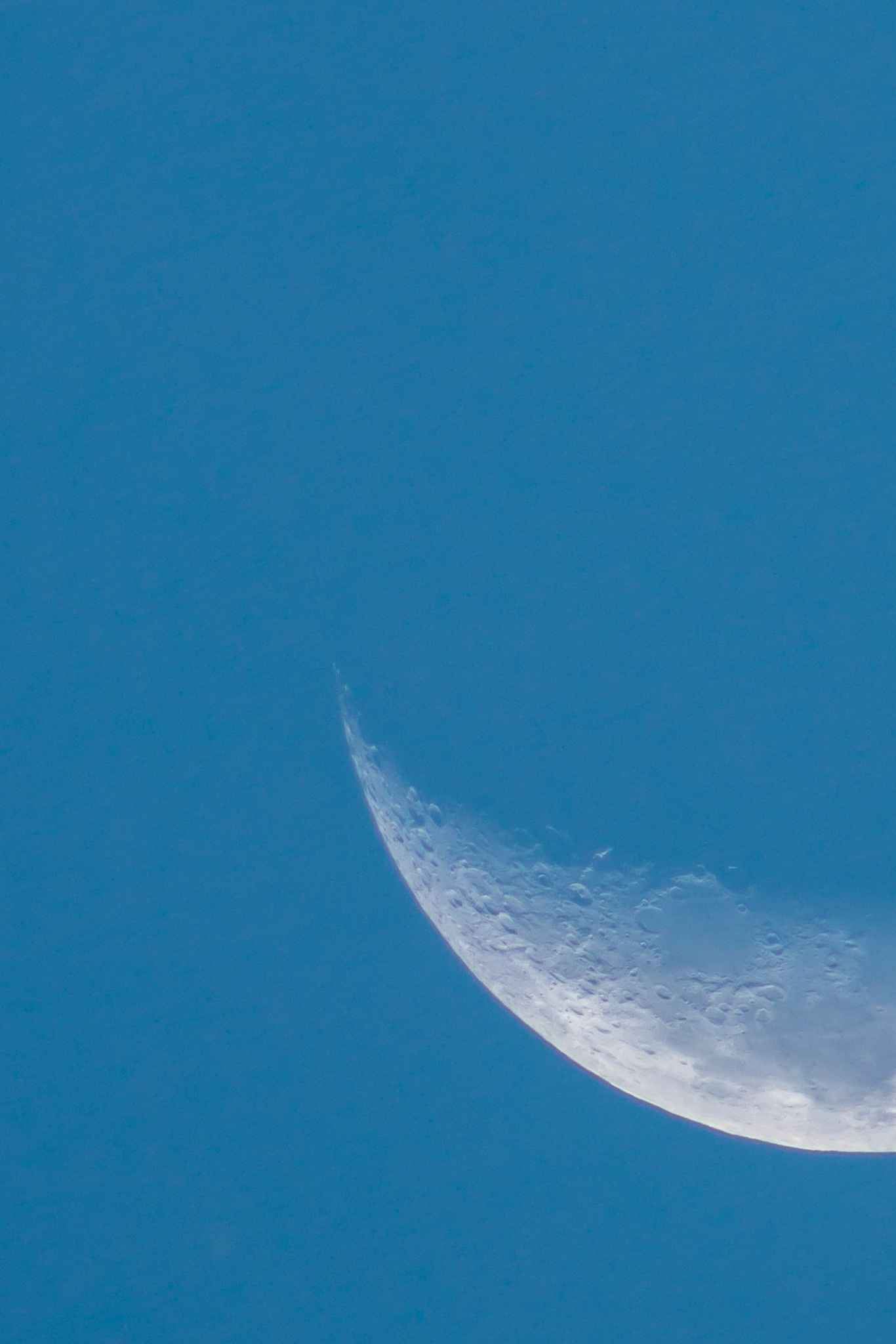 月球重力影响鸟类飞行时间吗？