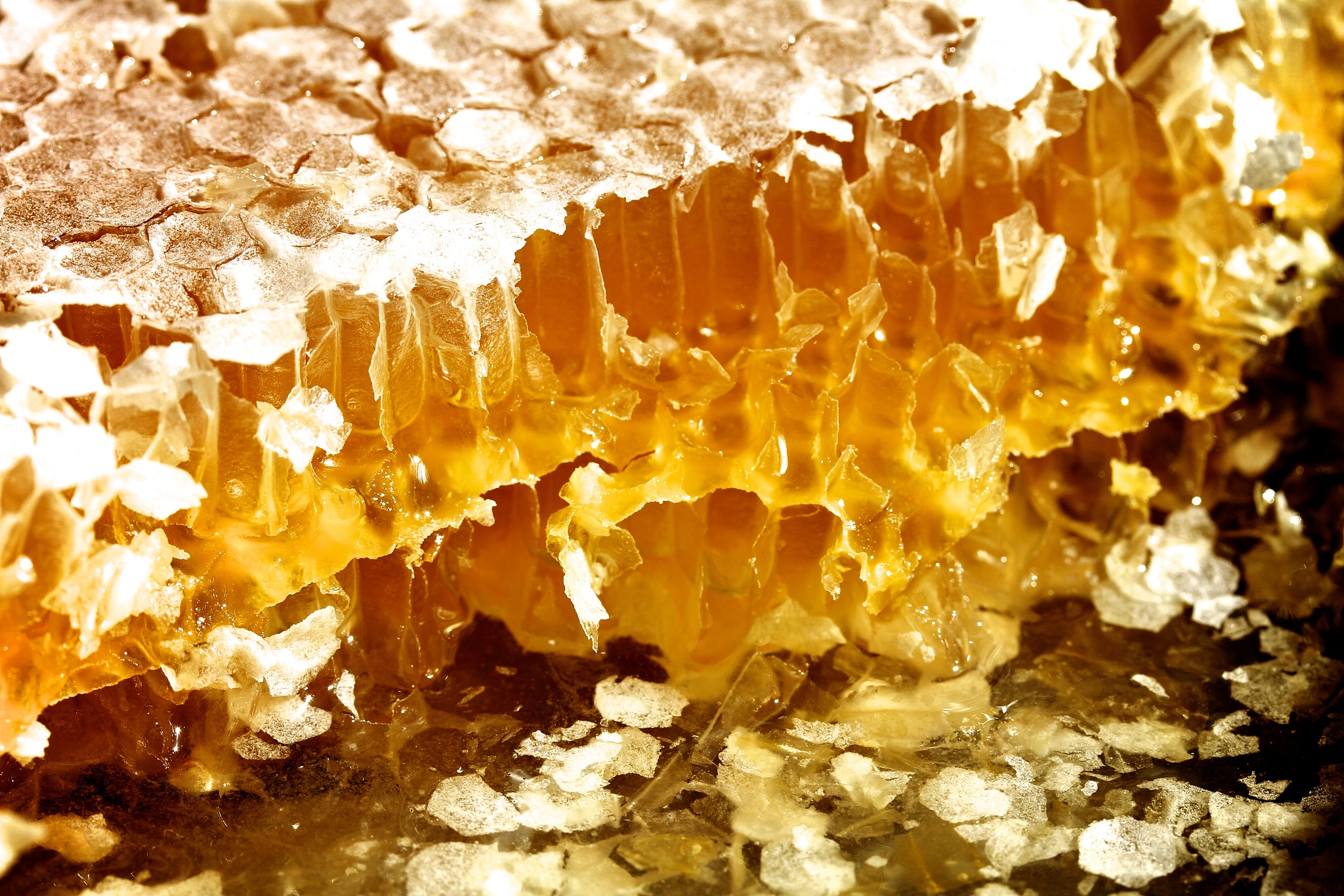 honeycomb