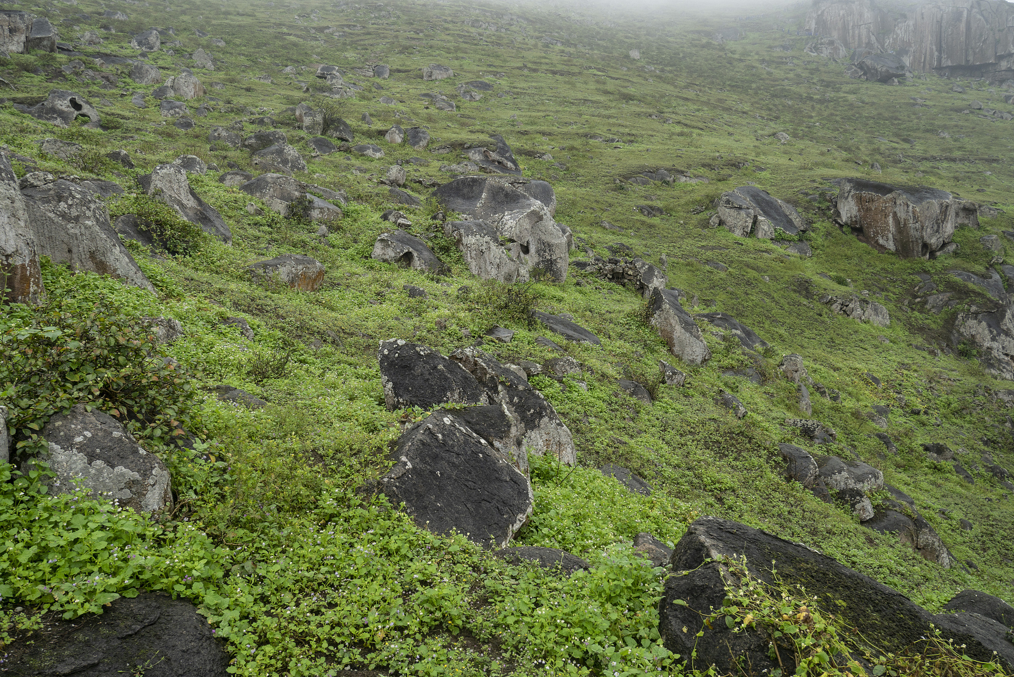 Kata-Kata Gombalan Romantis untuk Dia - Bikin Dia Klepek-Klepek!