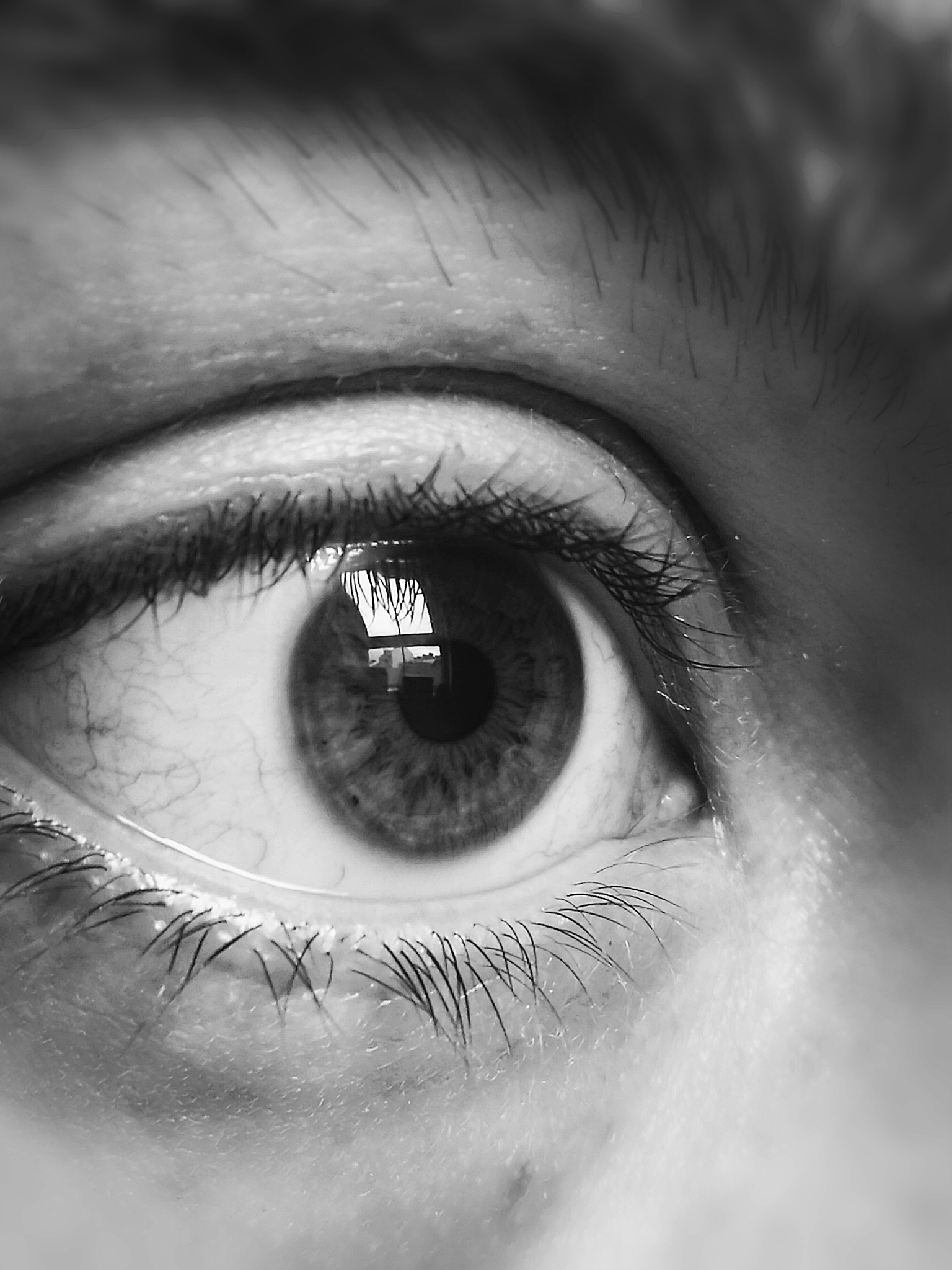 close-up of human eye