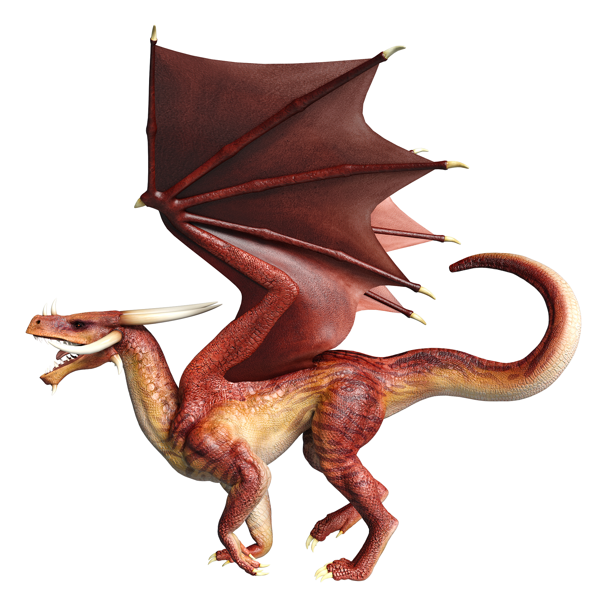 3d illustration fantasy dragon on white
