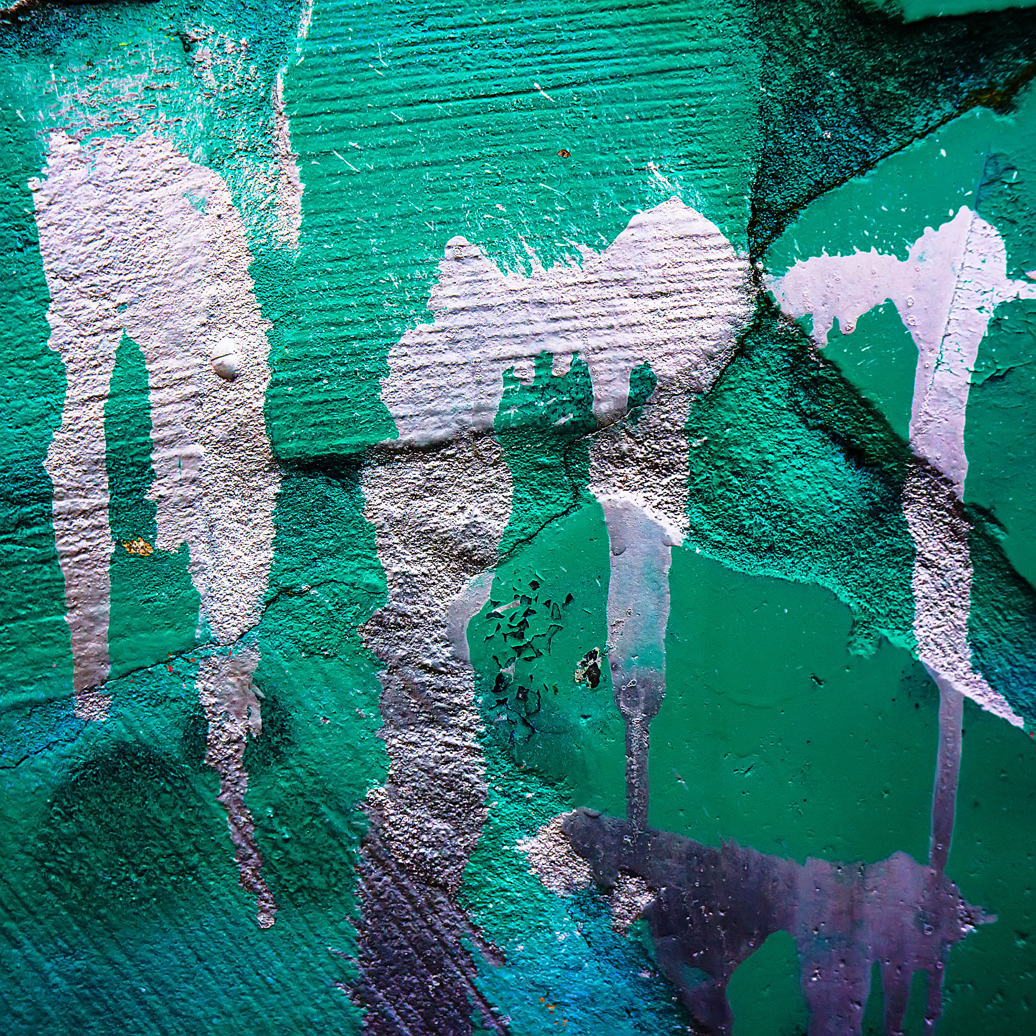 贵州省特殊教育专业学制：四年制，培养合格特教教师