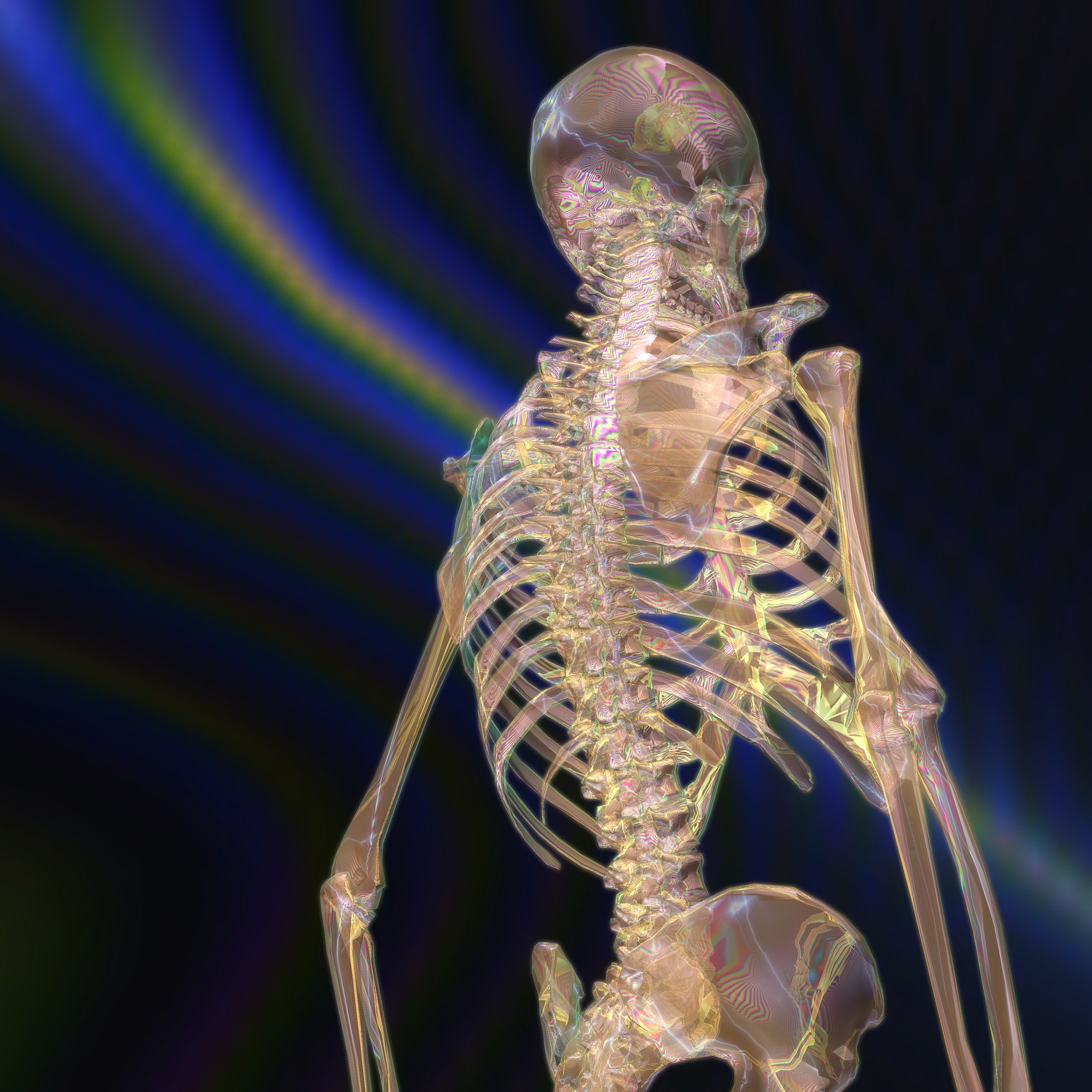 人体骨骼数据翻译：从3D点云到虚拟动画