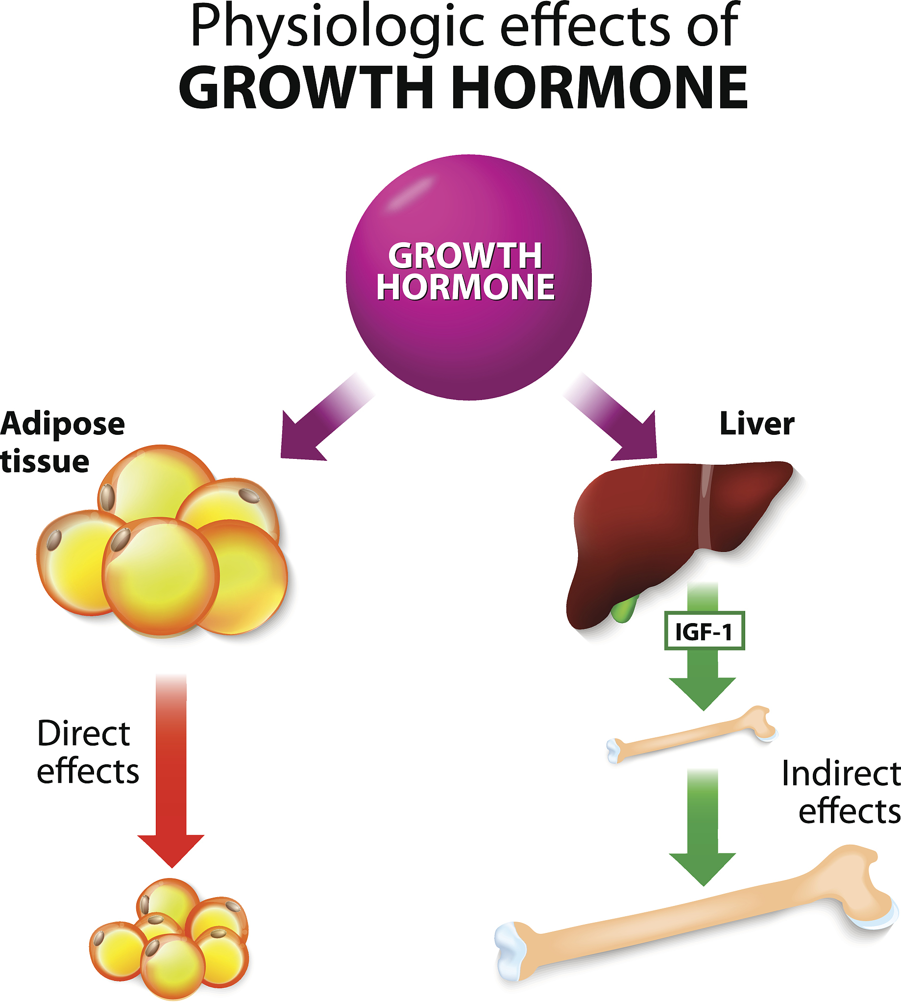 给出200字左右的关于tyrosinase的英文介绍