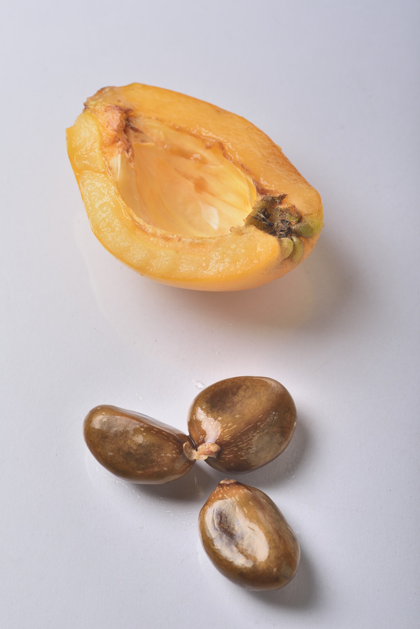 枇杷果核分离技术：高速离心机应用