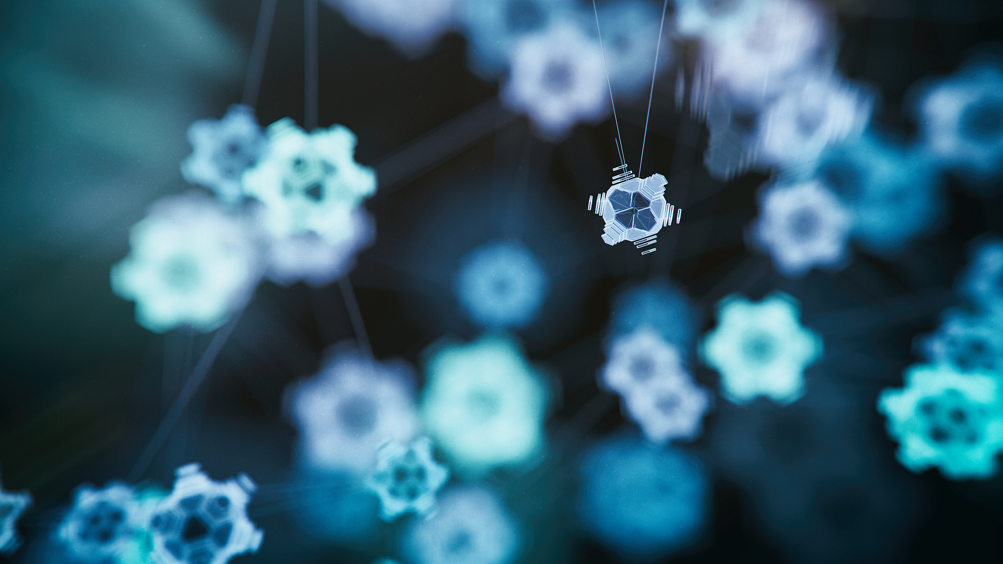 计算机网络技术专科招生网用发