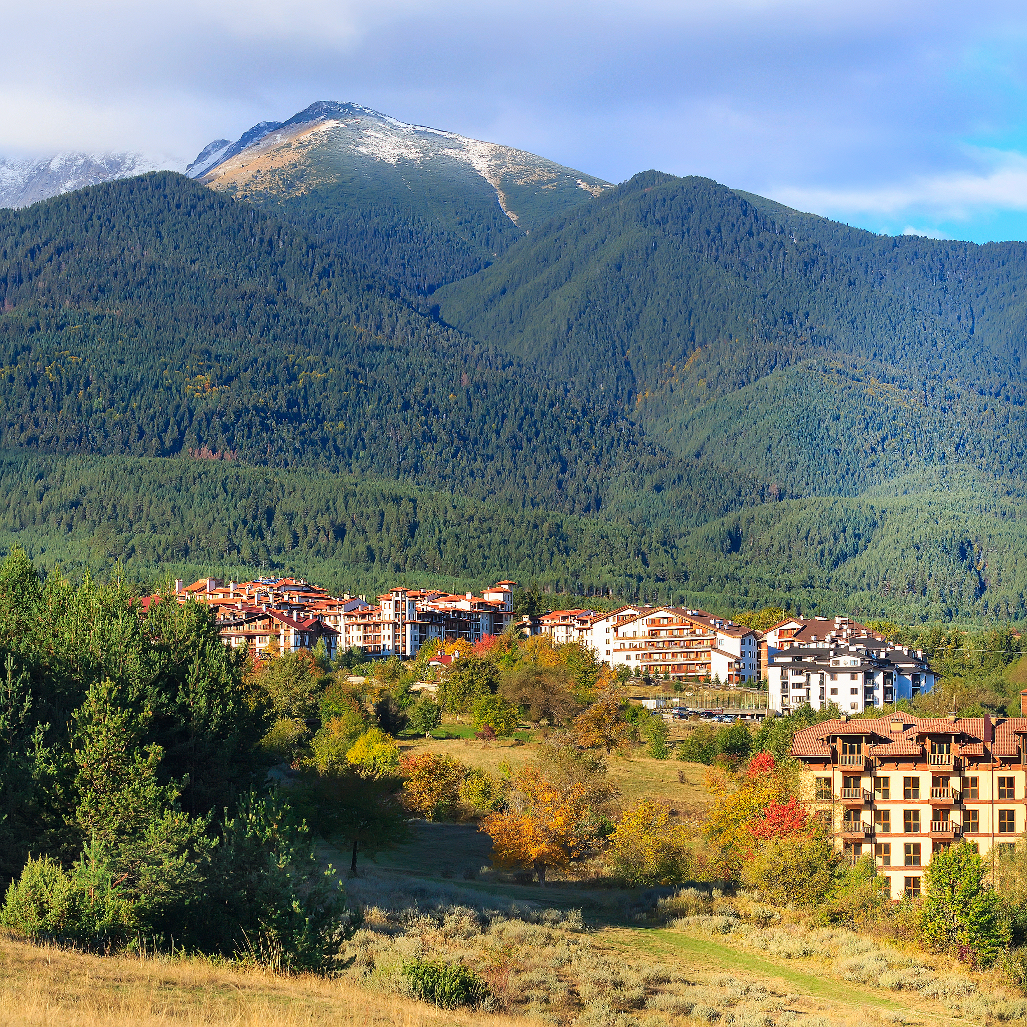 图像拼接论文来一篇