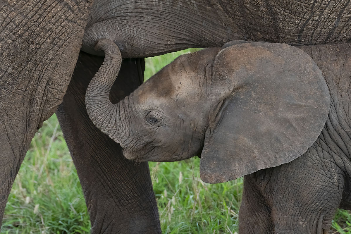 (1)以护理学为指导，以临床实践为基础，加强对儿科护理岗位的提前适应。
(2)从普通的学生到护理人员的转变，认识到自己的地位，认识到儿科知识与技术的重要。
(3)要加强对护士的专业知识的掌握，为今后的工作打下良好的基础。
(4)增进对社会的认识，体会社会的氛围，工作环境，使自己成熟，学习改变。谱写好从学生到专业人士的过渡。
(5)学习在医院工作中个人能力提升、护理管理等技巧，以最快的速度融入医院工作。
请用中文结合自己对上文的理解进行扩展论述，要求是不能与原句重复且不能抄袭他人观点和概念。