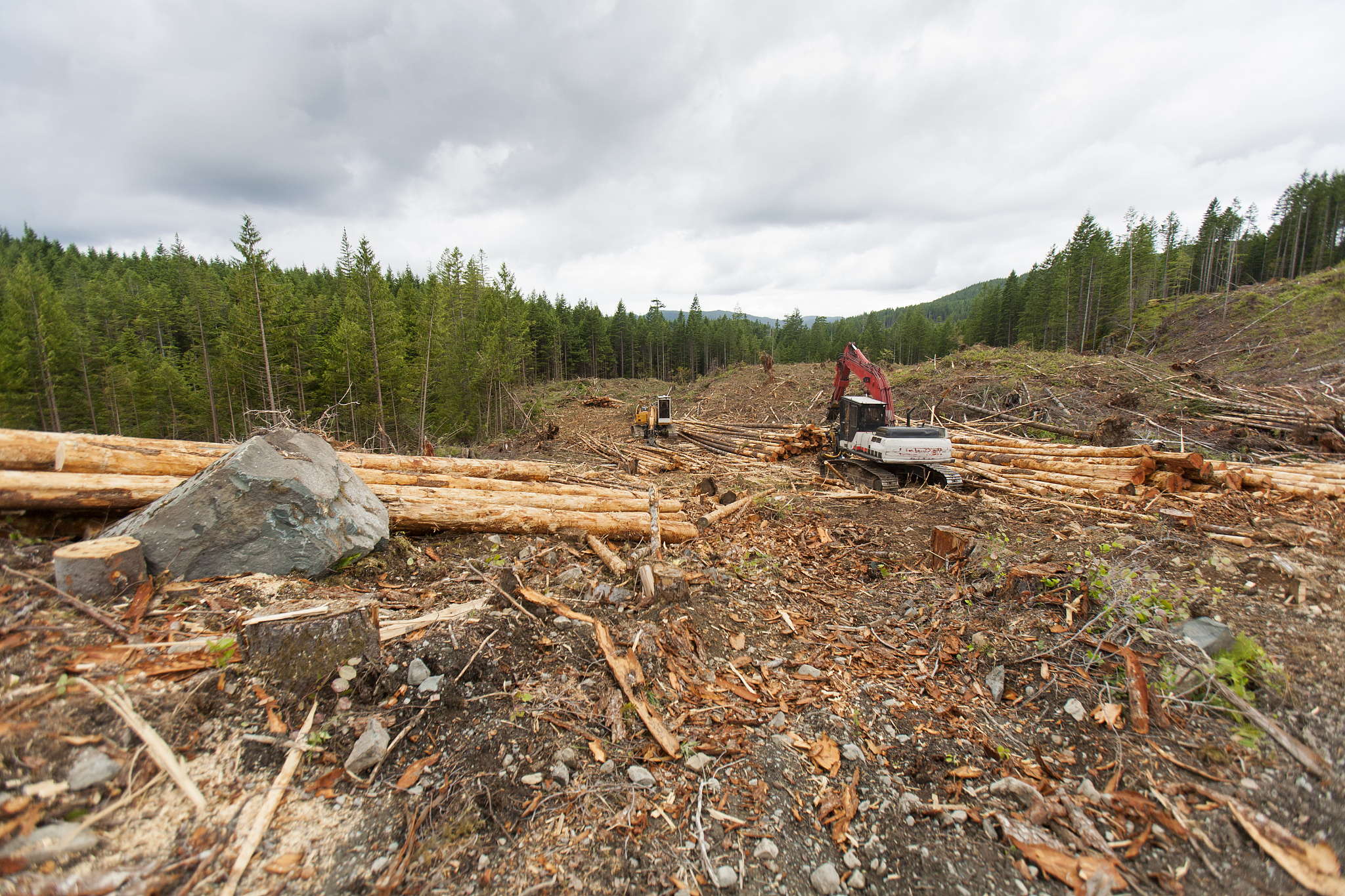 论述重庆市森林资源保护存在的问题不少于800字。