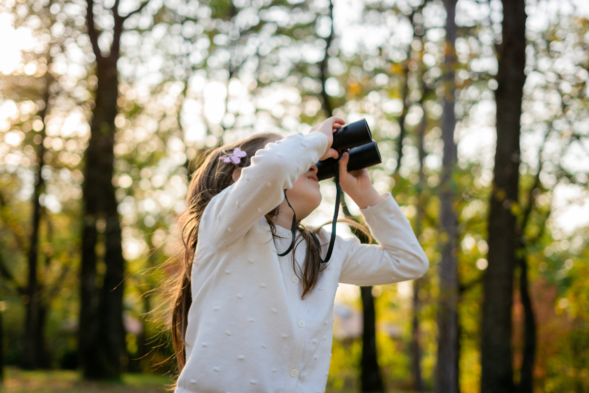 摄影技巧分享：拍出惊艳照片的7个秘诀