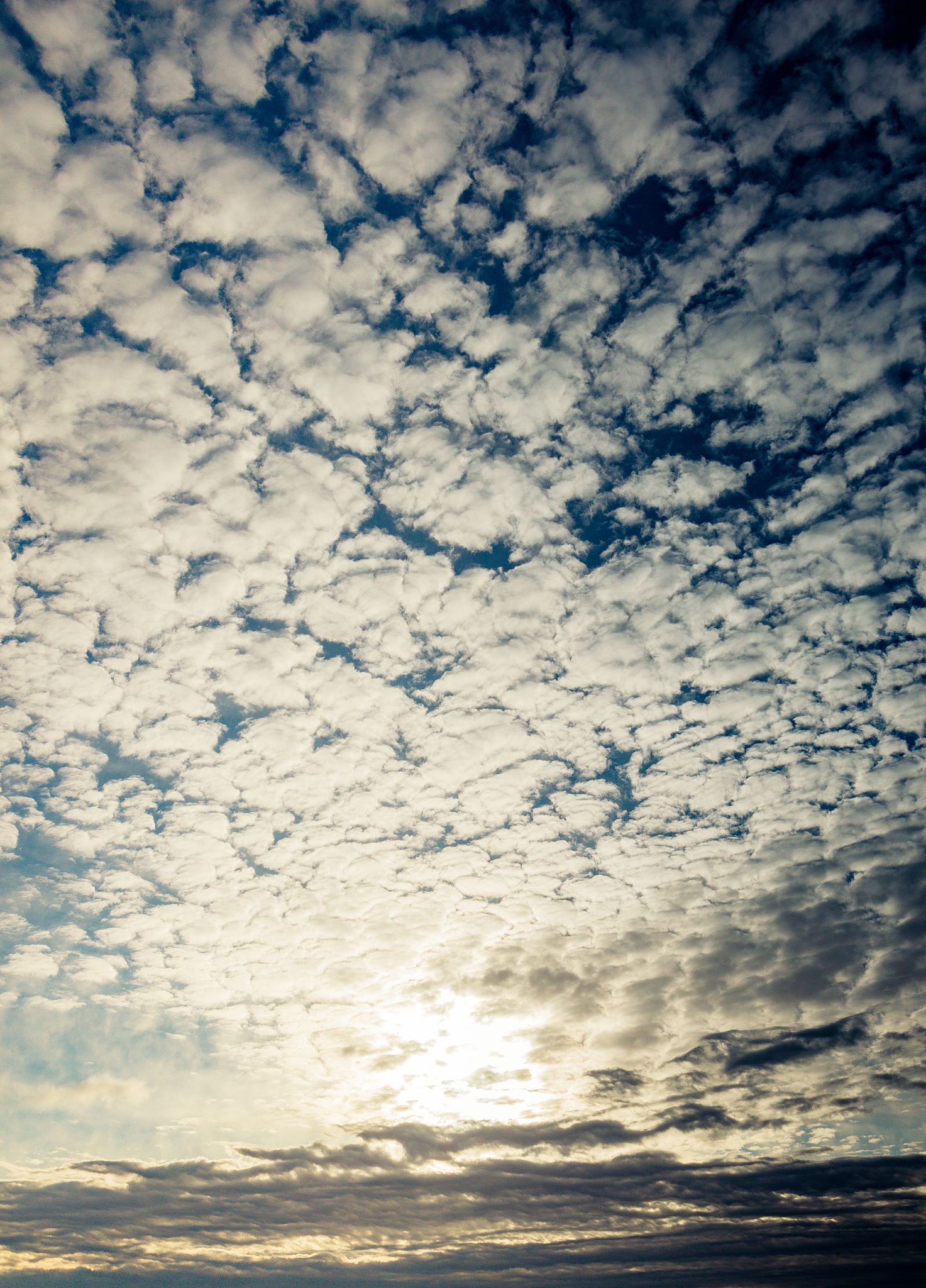 环境工程师工作内容