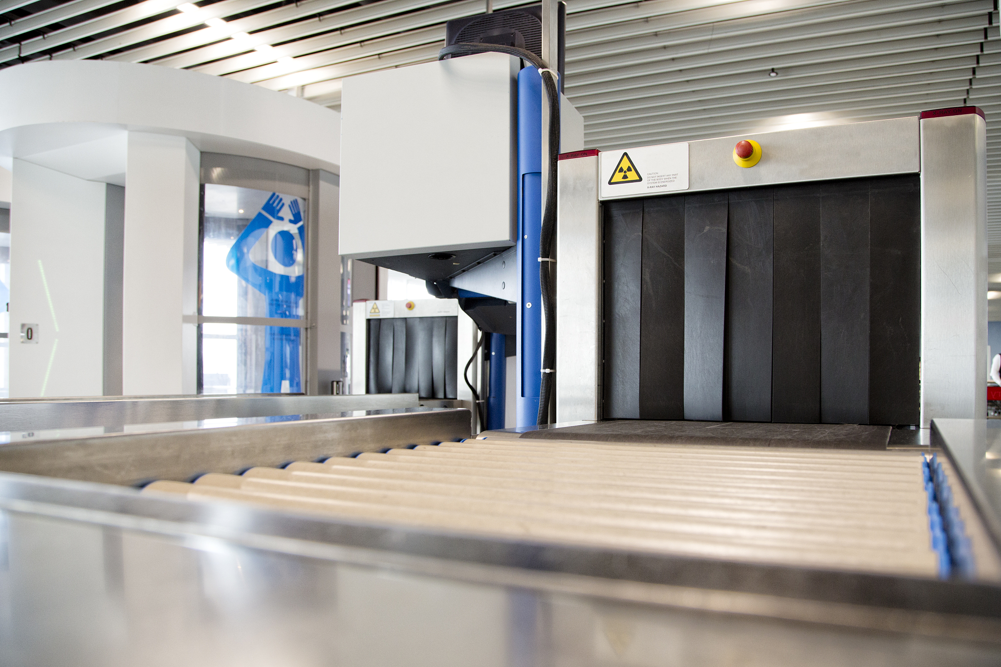 动物躯干受力测量 动物躯干受力测量