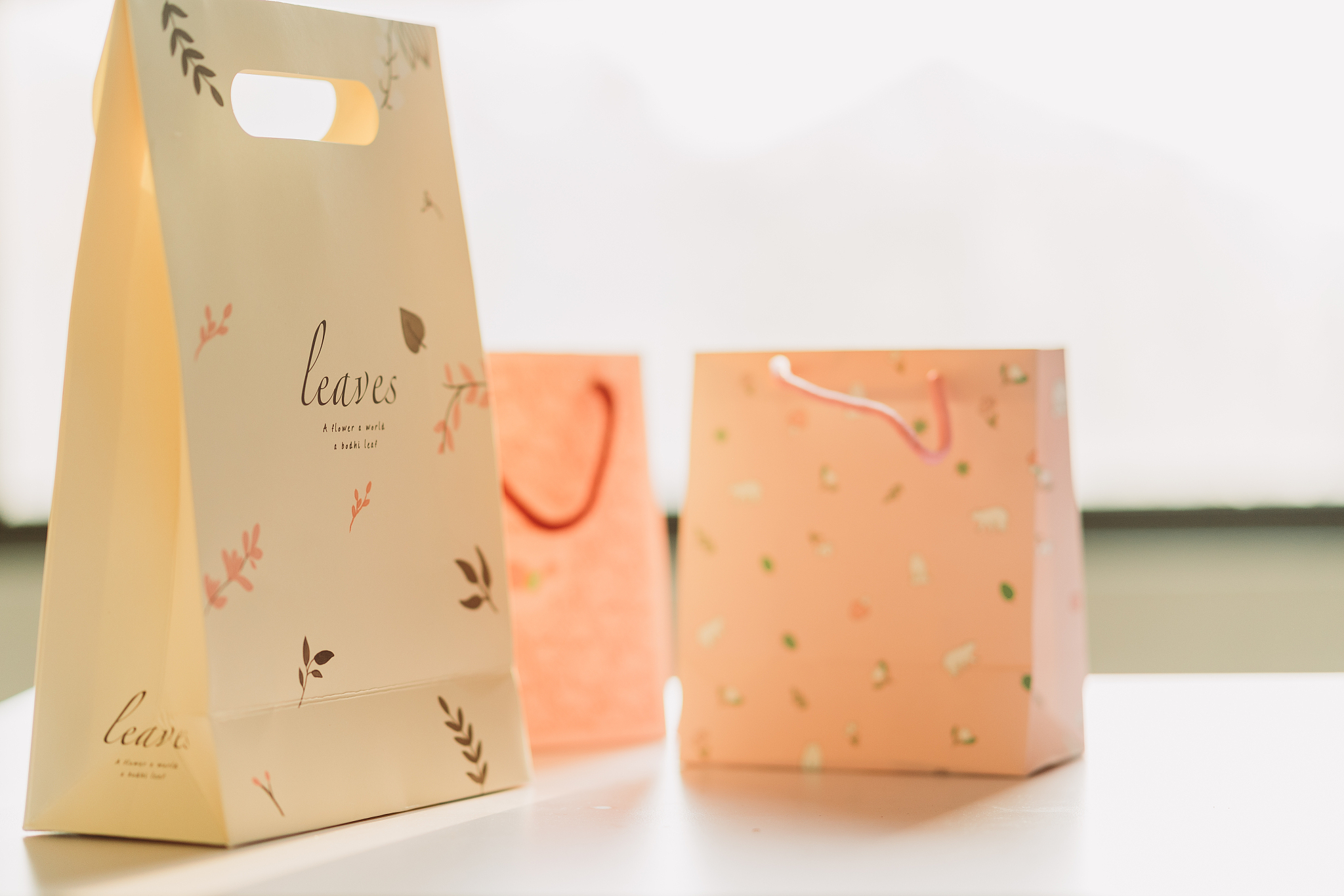 shopping bag in sunset, black friday