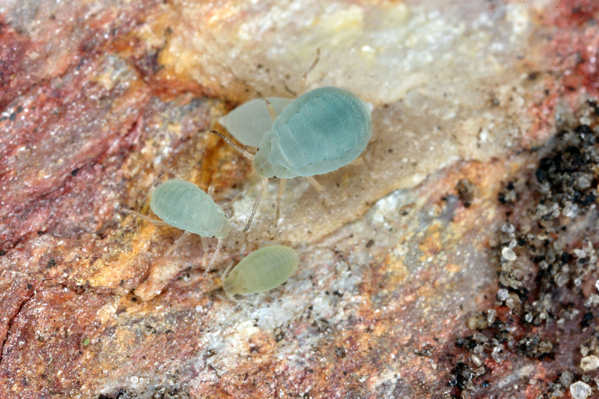 5是5的倍数吗？简单易懂的解释