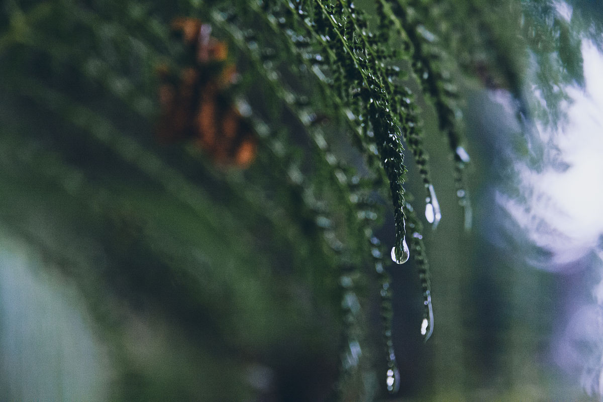可以写一首诗吗 写夏天雨下很大