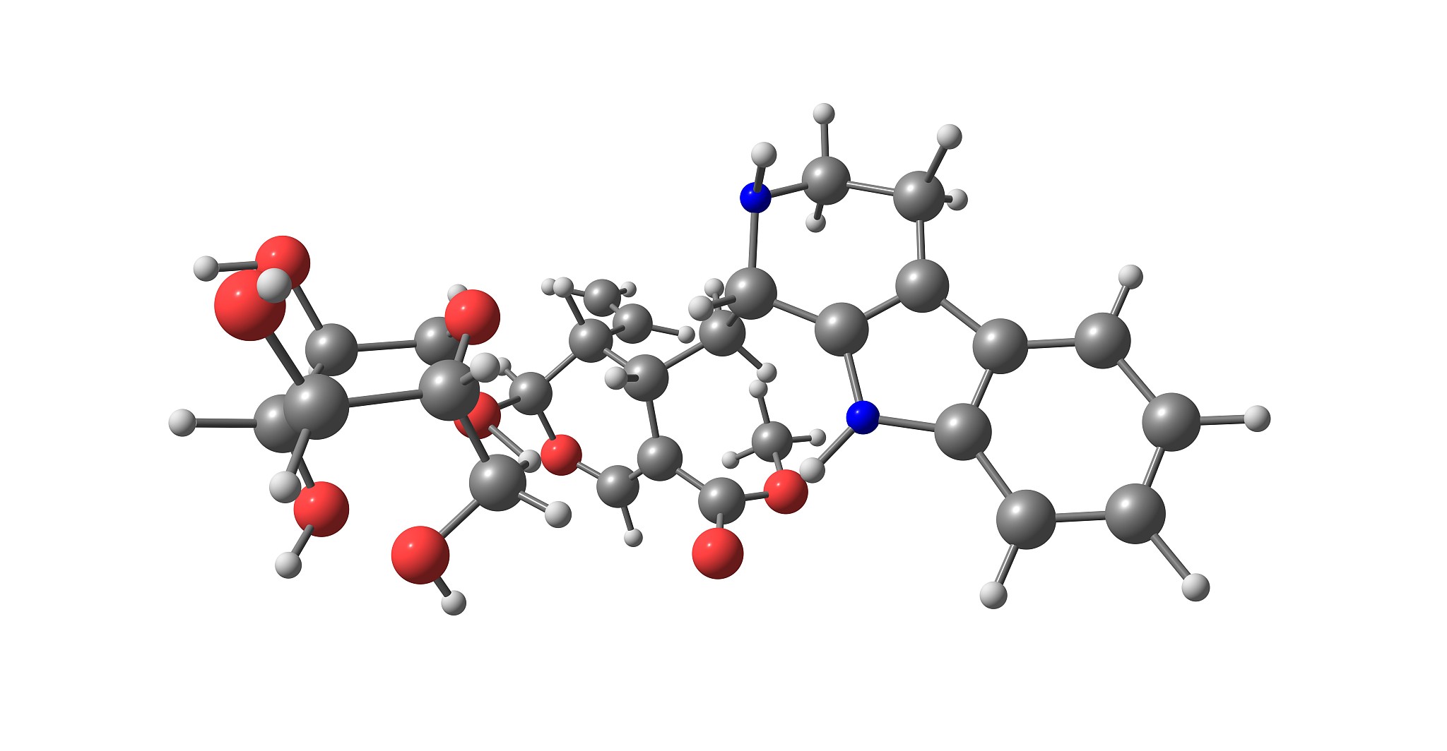 酶的特点：生物催化剂的独特优势
