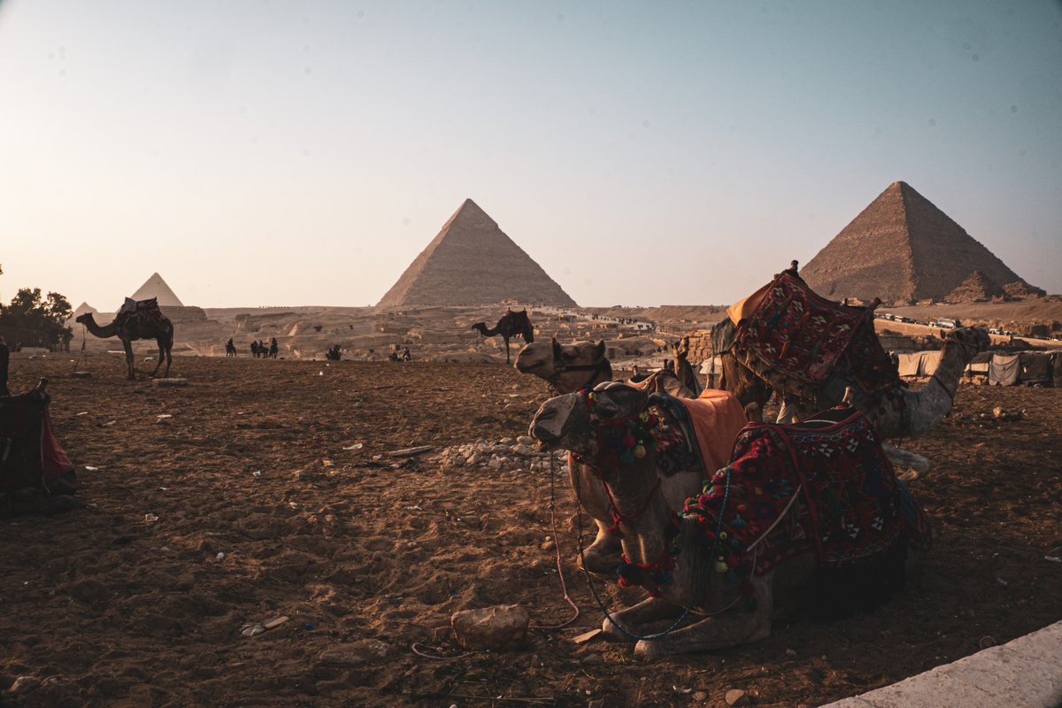 埃及金字塔的简历