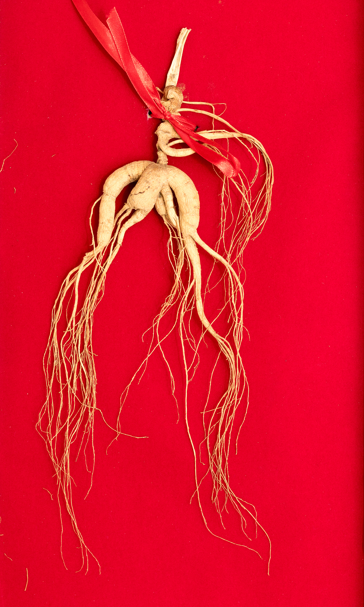 天津市女生可以读药剂专业大专学校吗