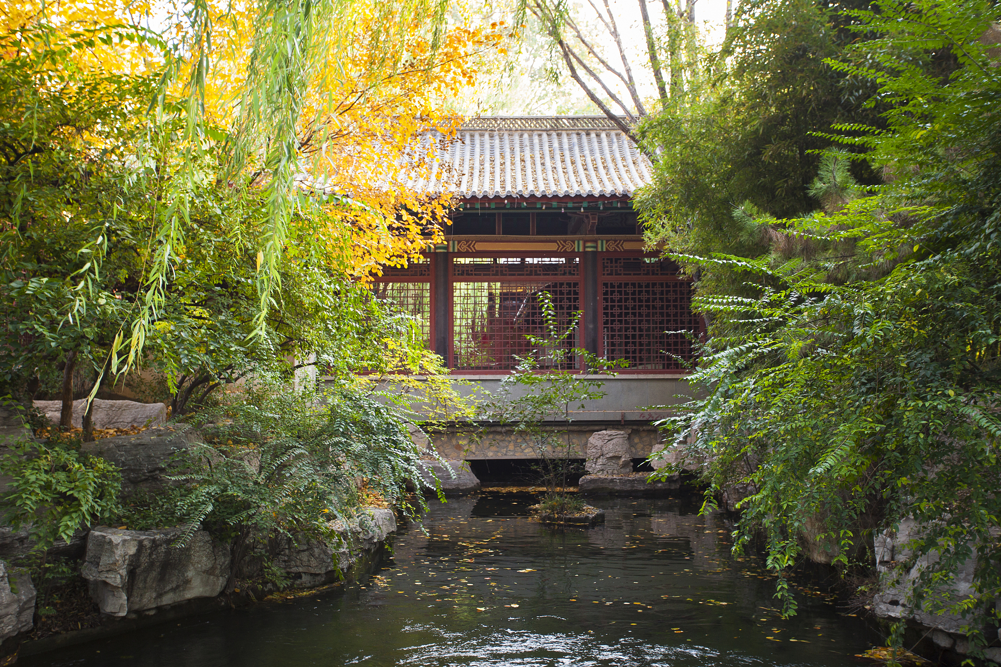 卢龙文化摄影：探寻孤竹风光，记录历史与艺术