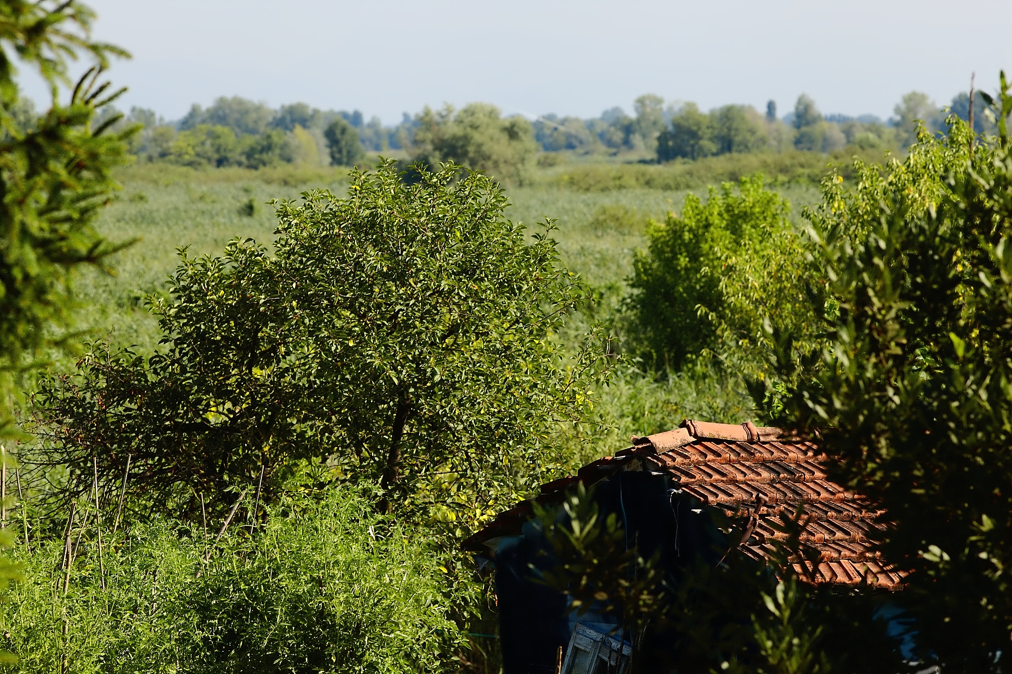 北京农业职业学院植物保护专业怎么样